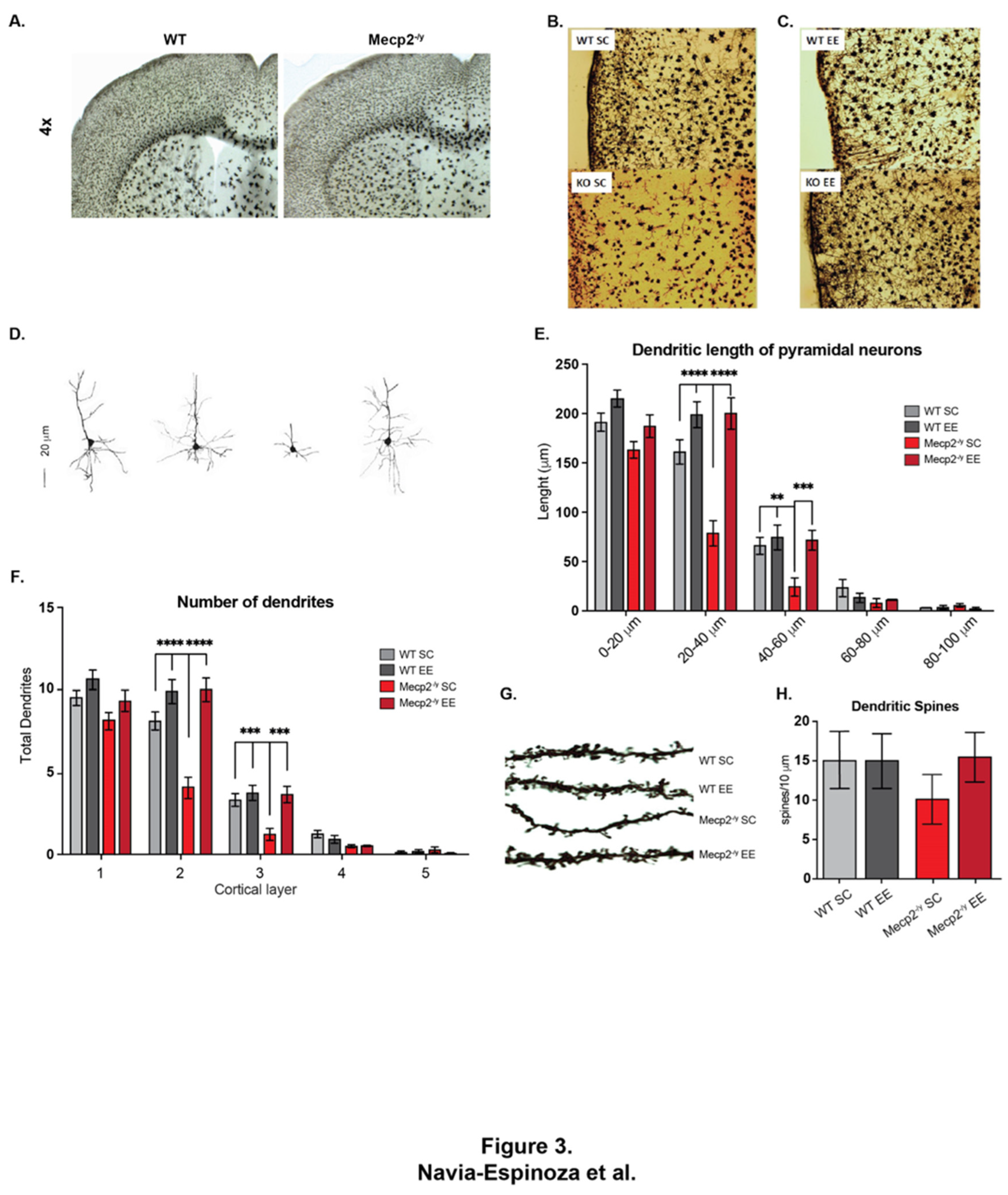 Preprints 143281 g003