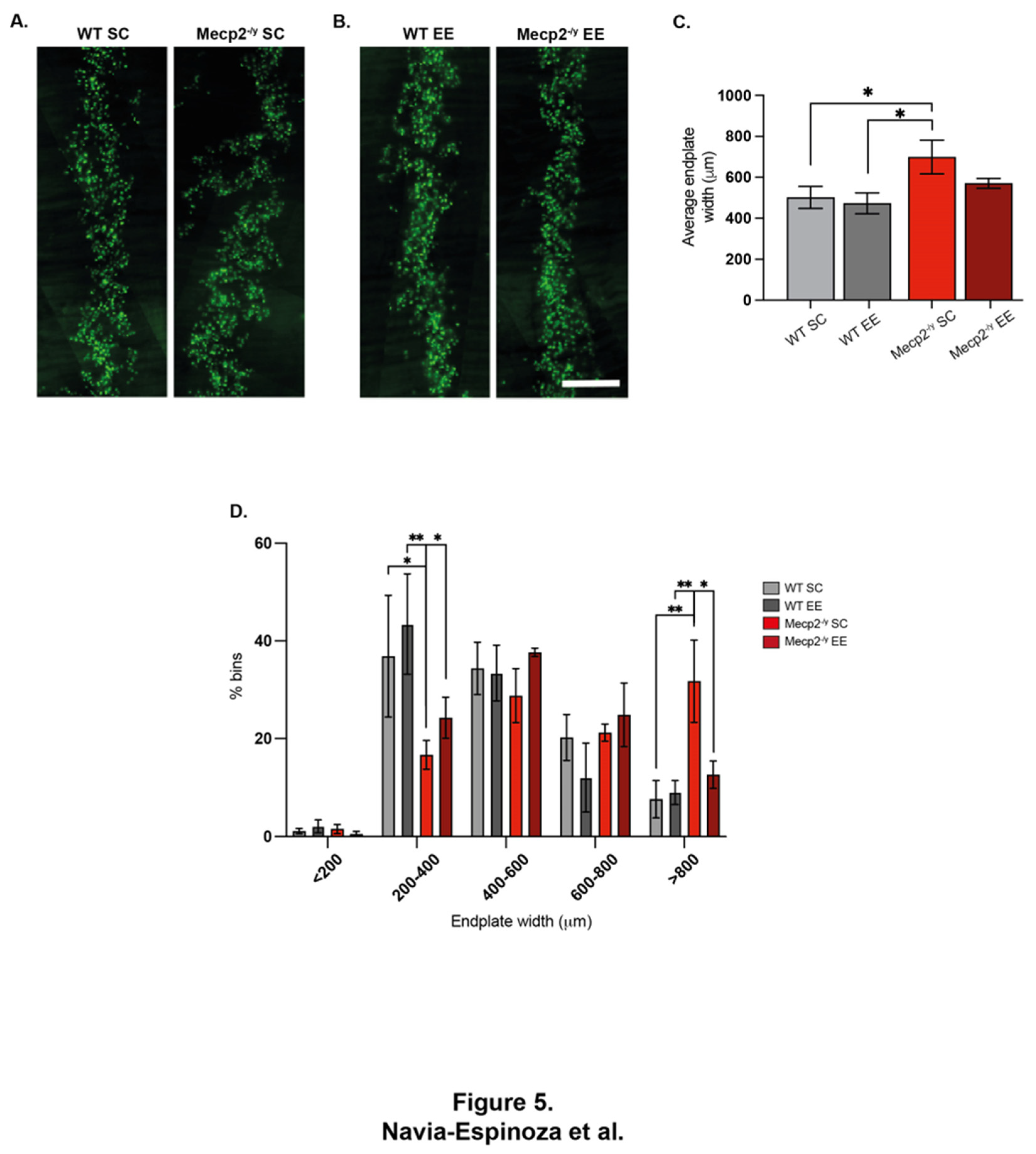 Preprints 143281 g005