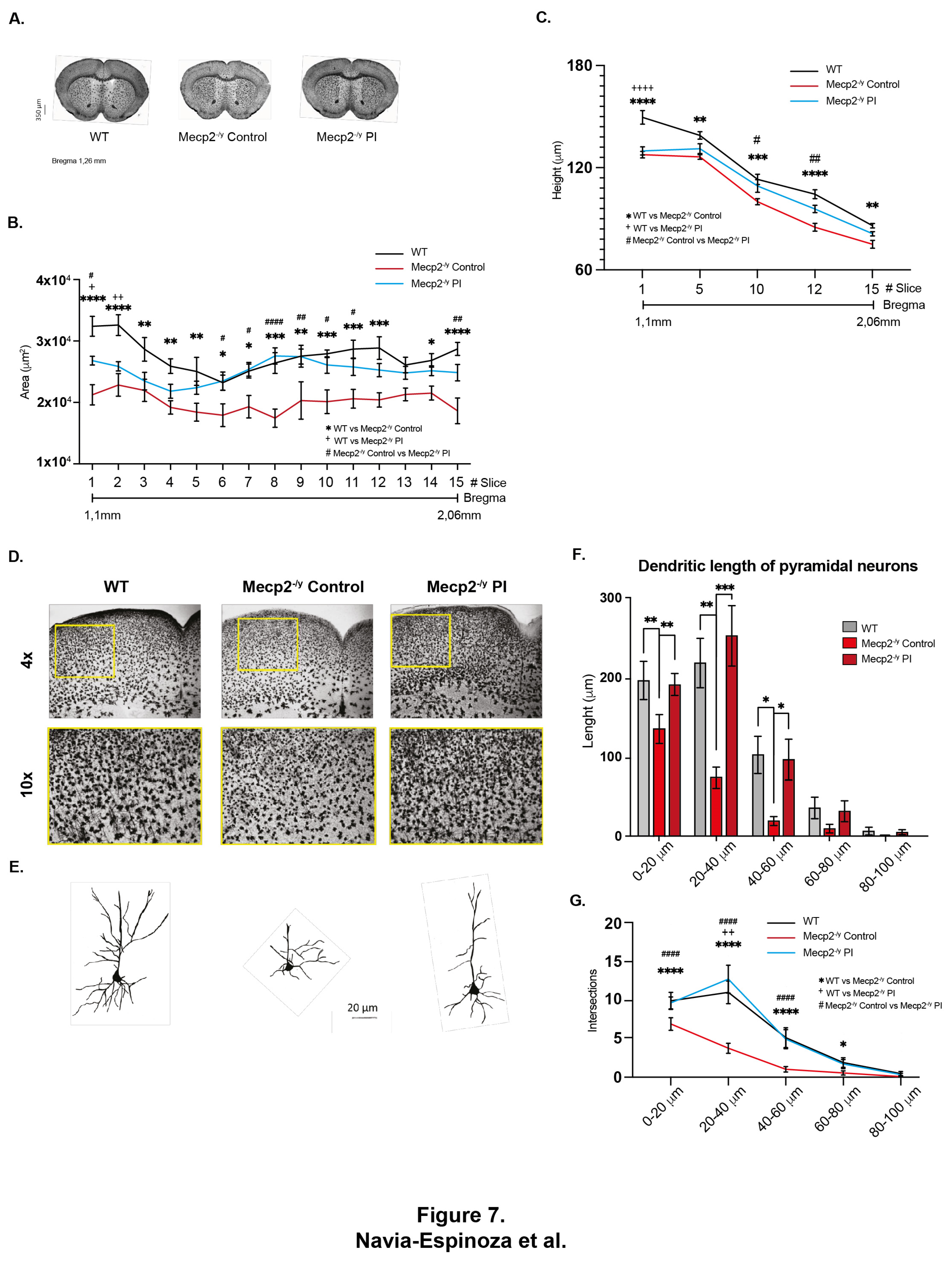 Preprints 143281 g007