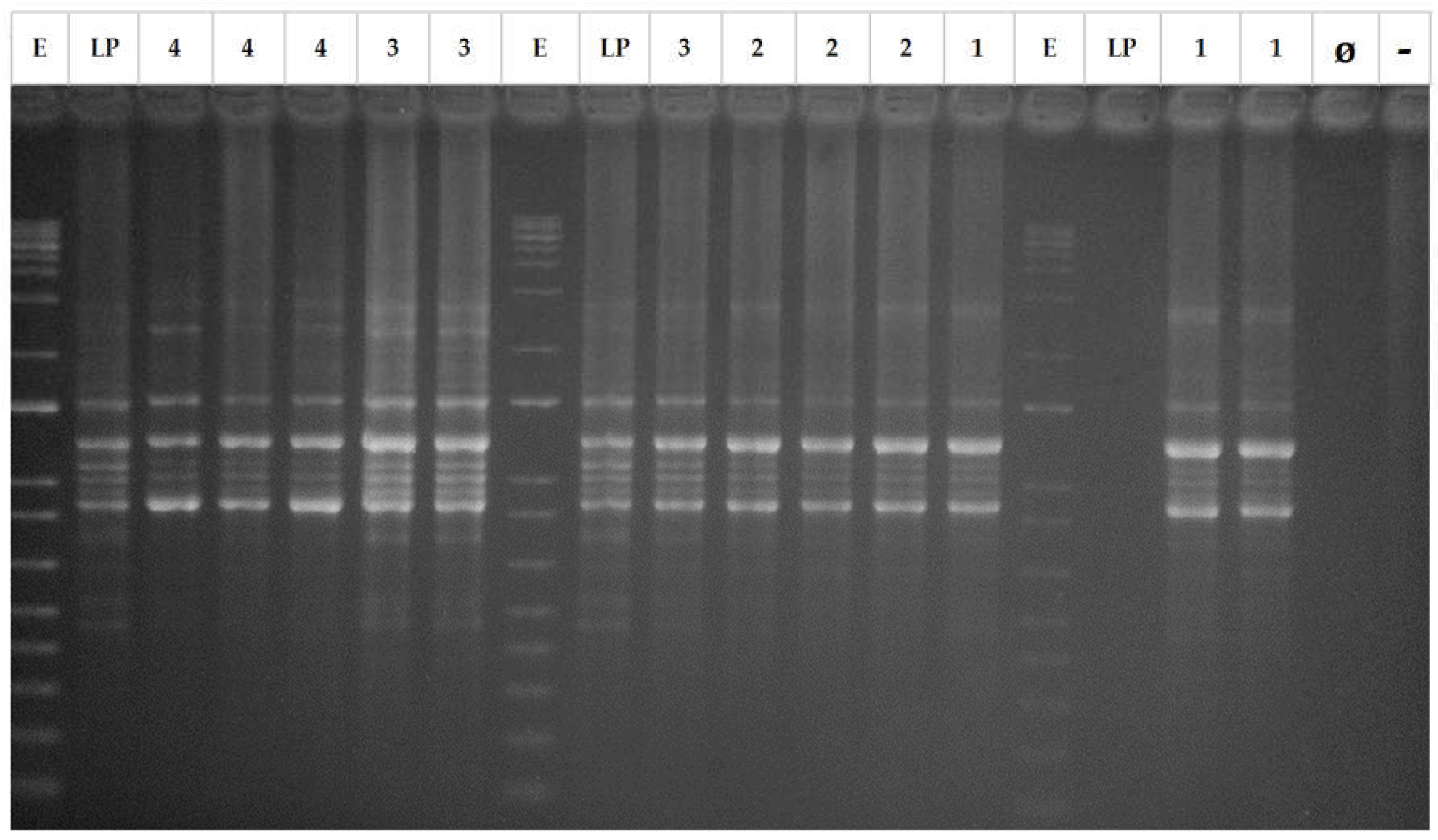 Preprints 139617 g001
