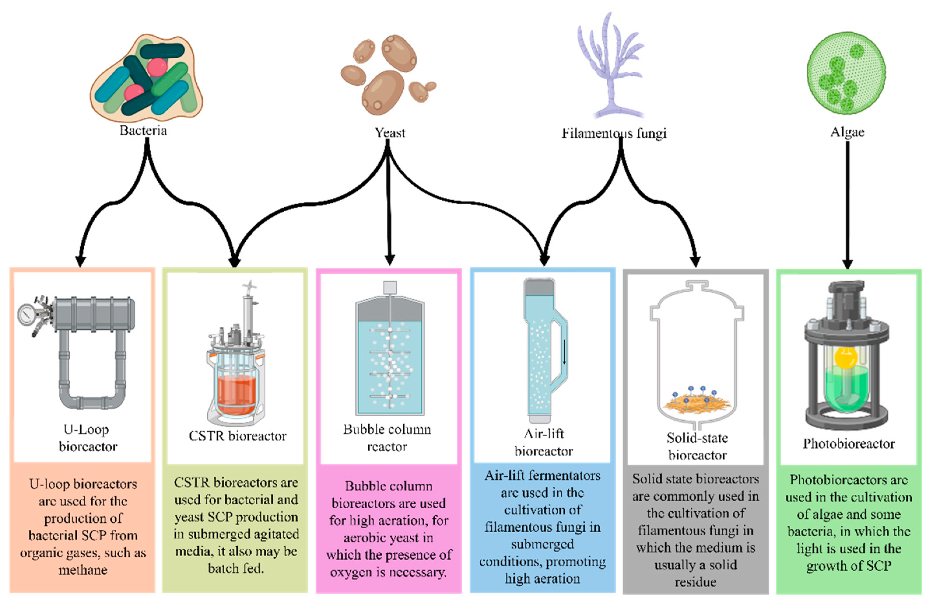 Preprints 137912 g003
