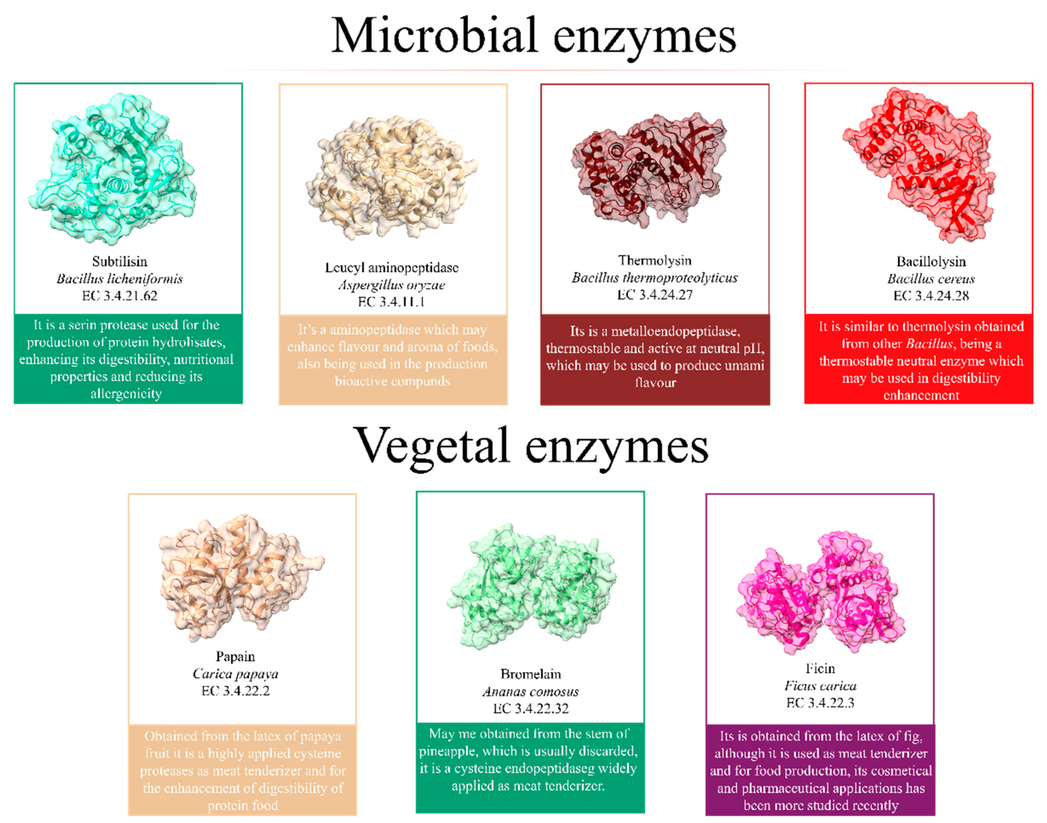 Preprints 137912 g004