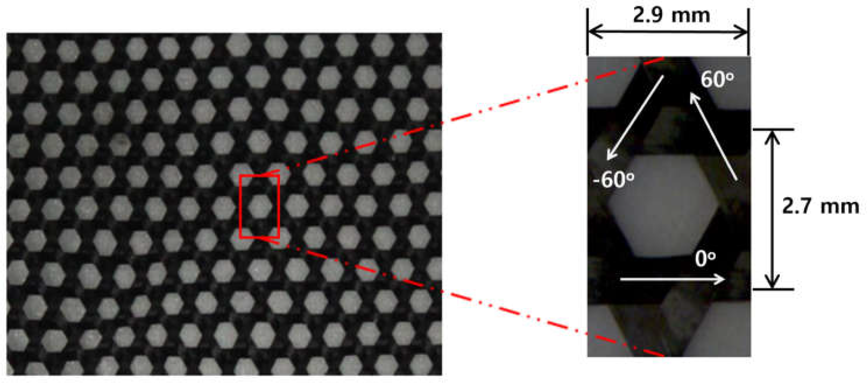 Preprints 151705 g001