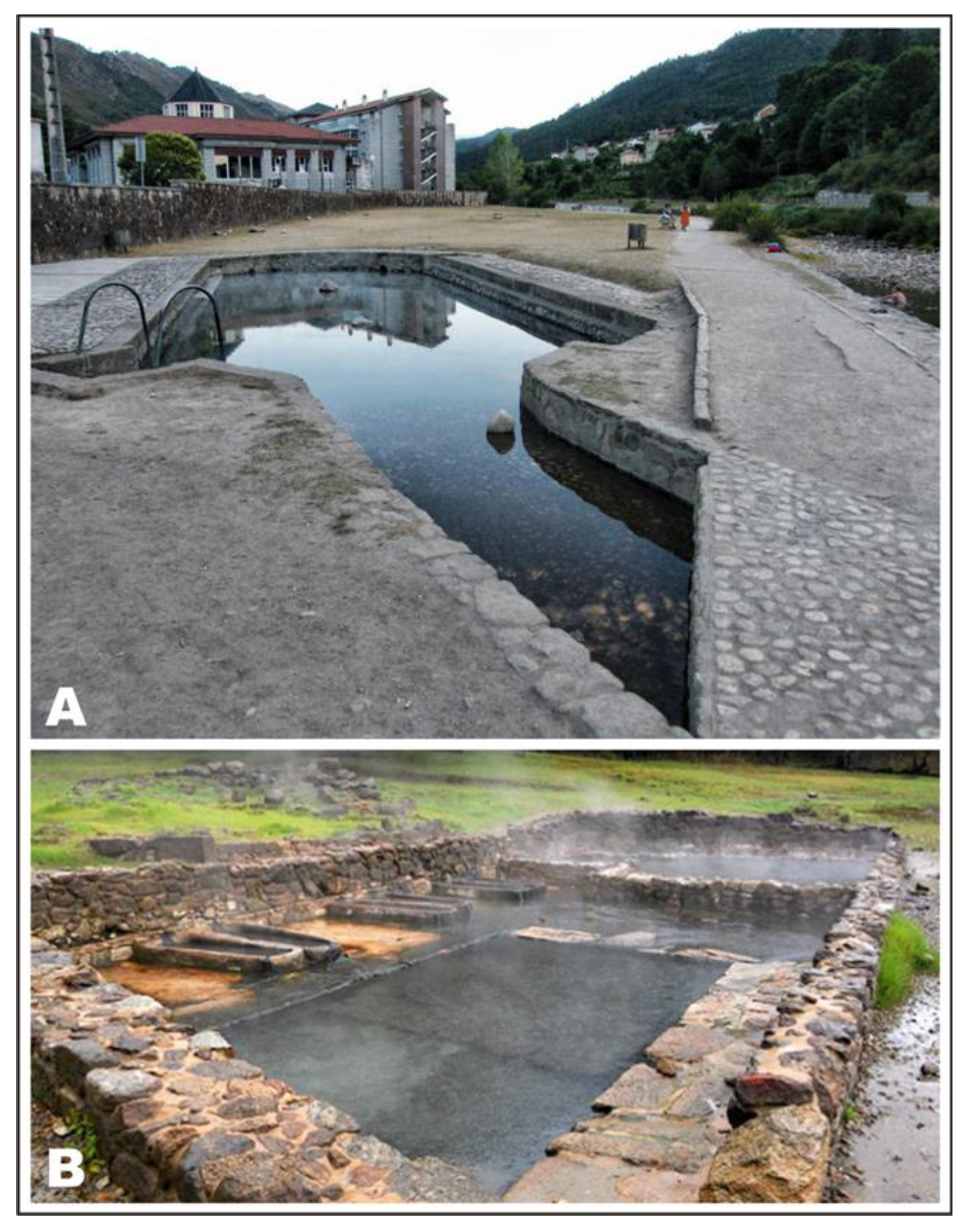 Preprints 96238 g021