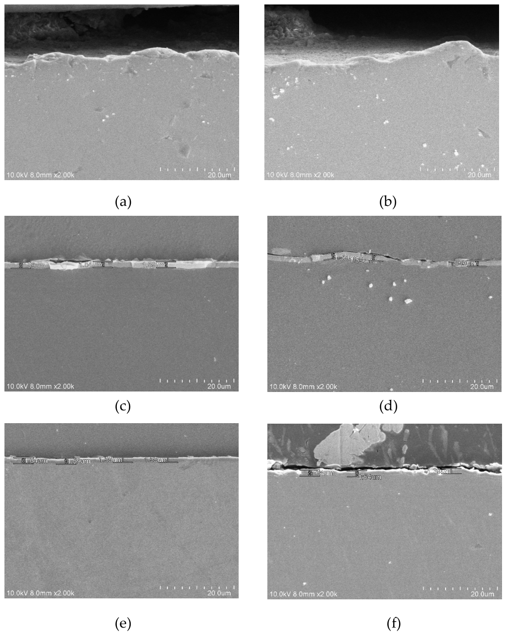 Preprints 230223 g010