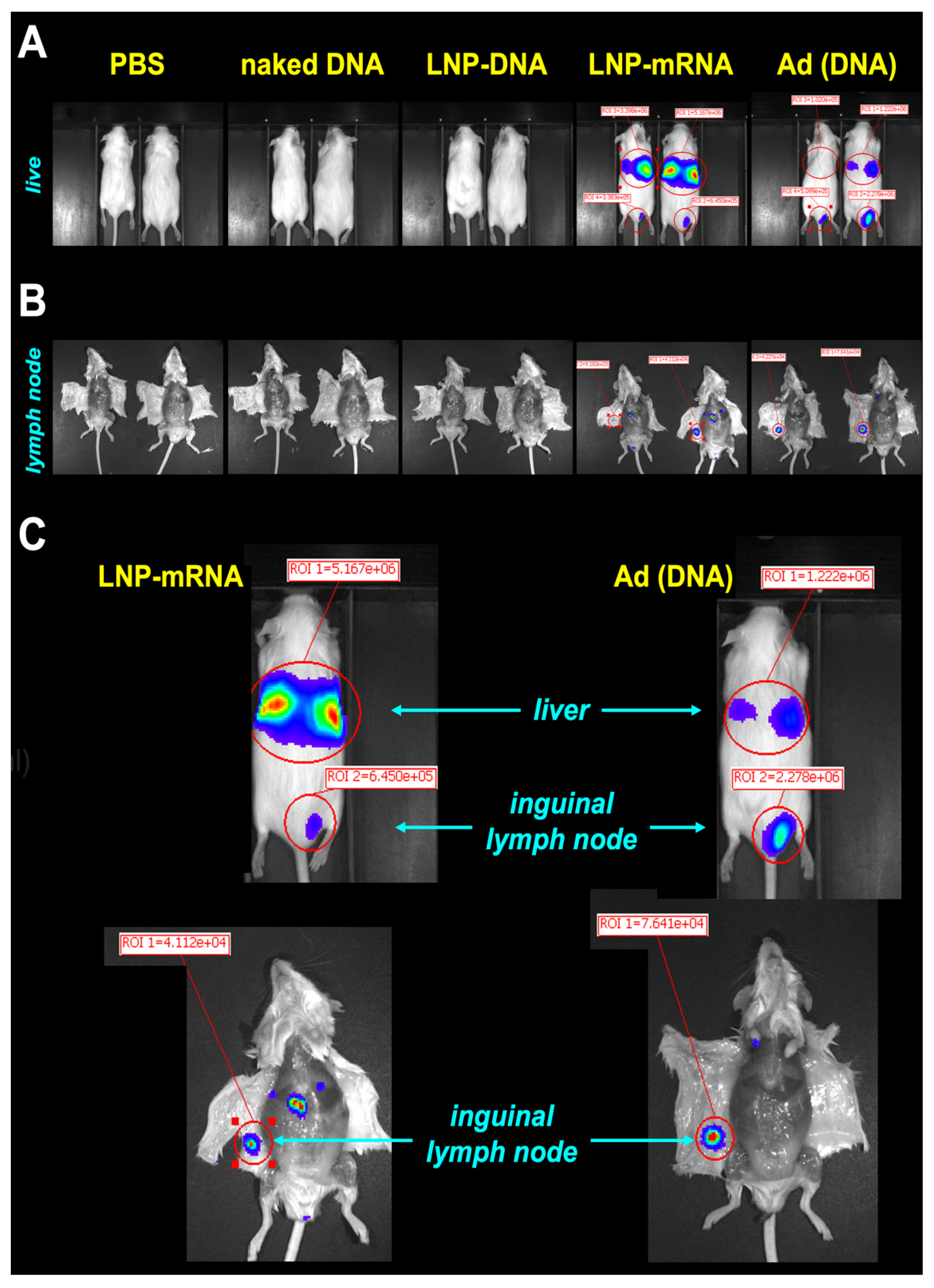 Preprints 192400 g002