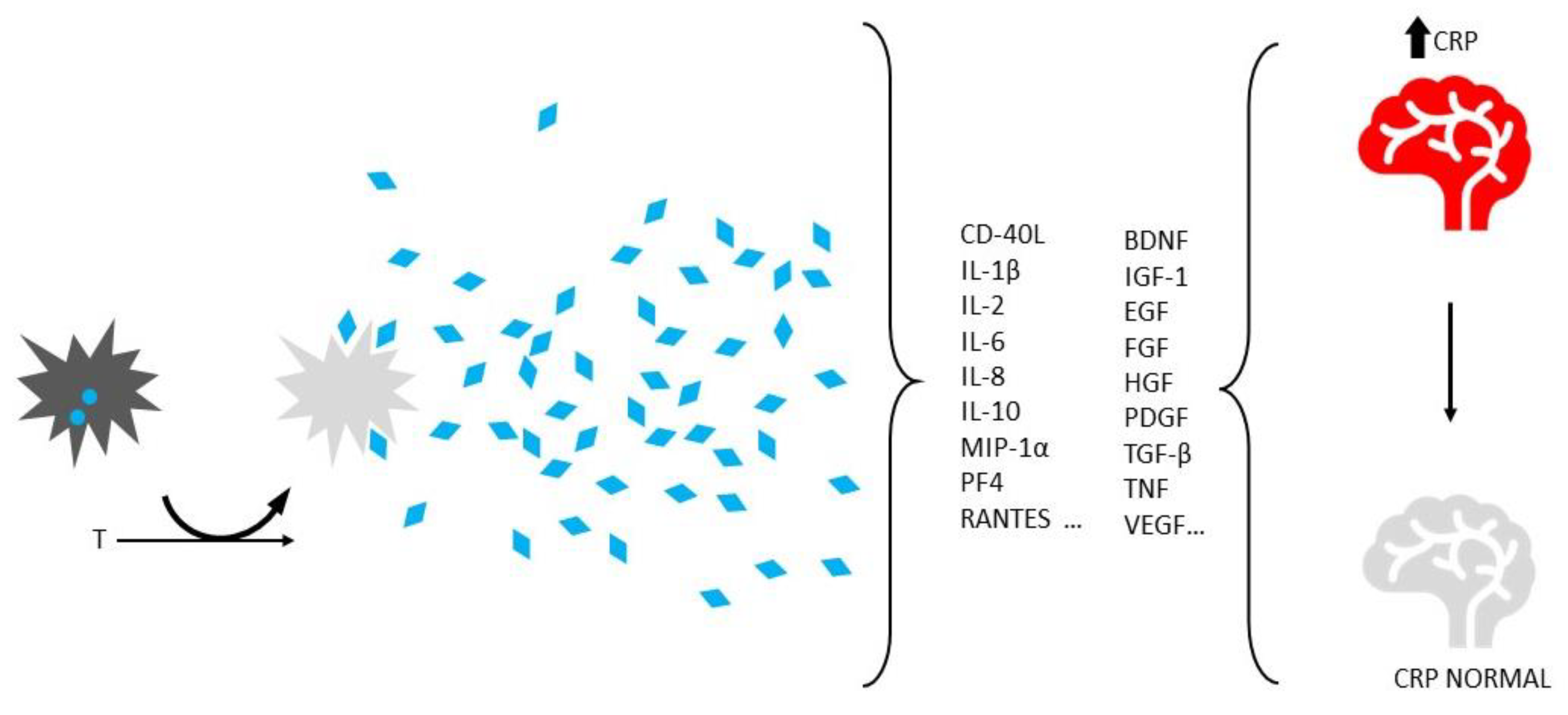 Preprints 76126 g001
