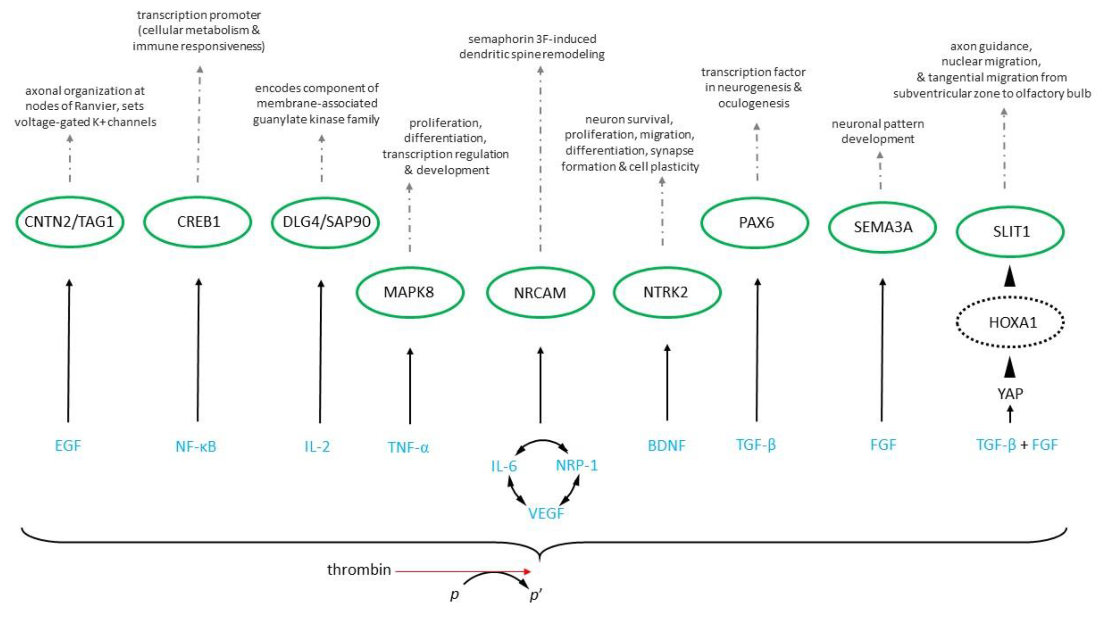 Preprints 76126 g002