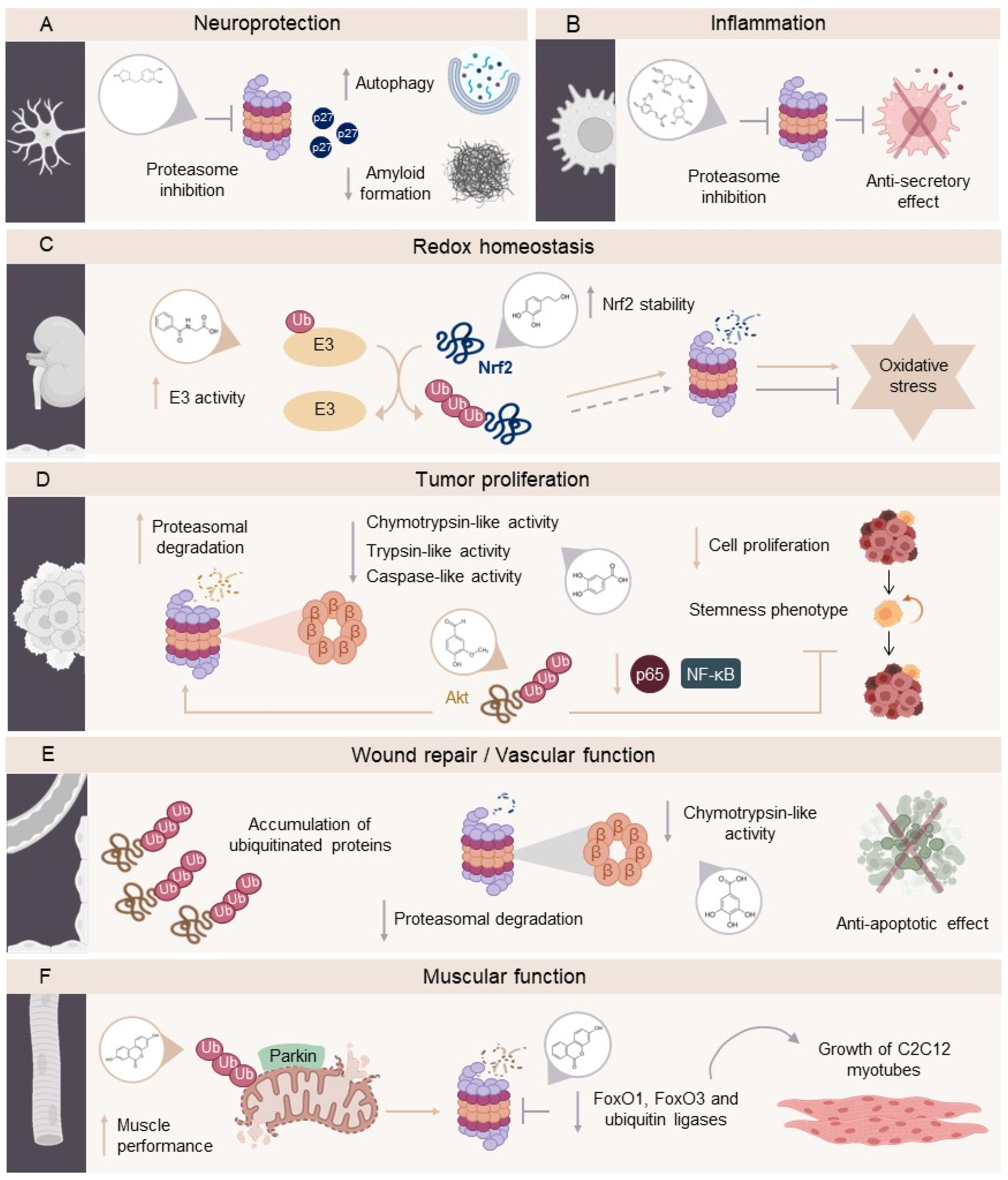 Preprints 152333 g002