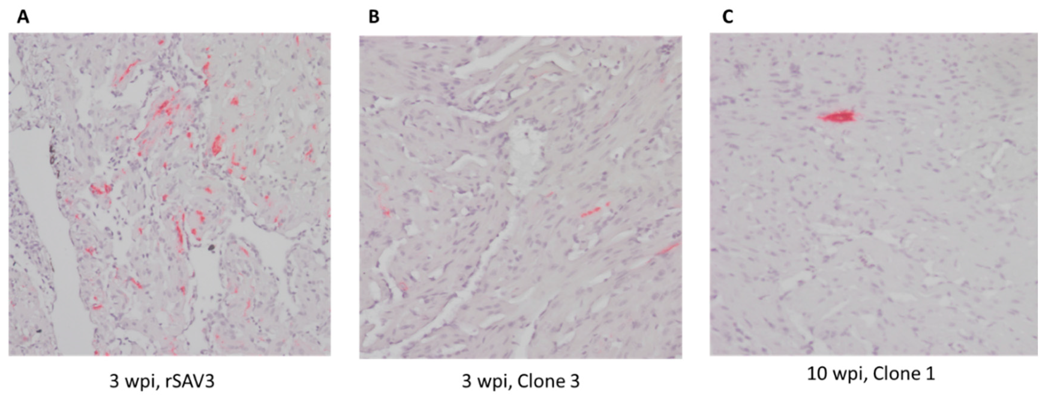 Preprints 142476 g004