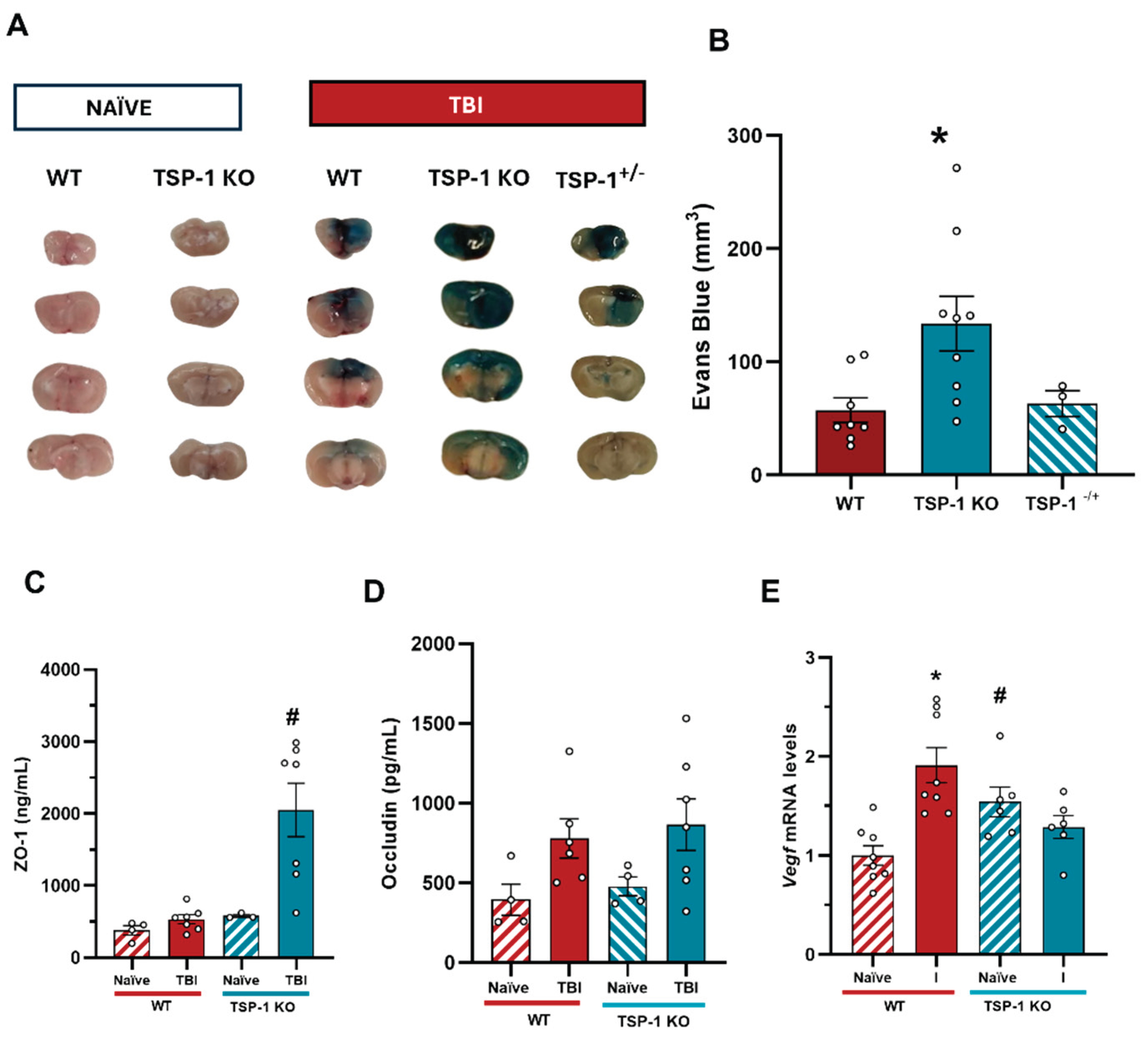 Preprints 185148 g007
