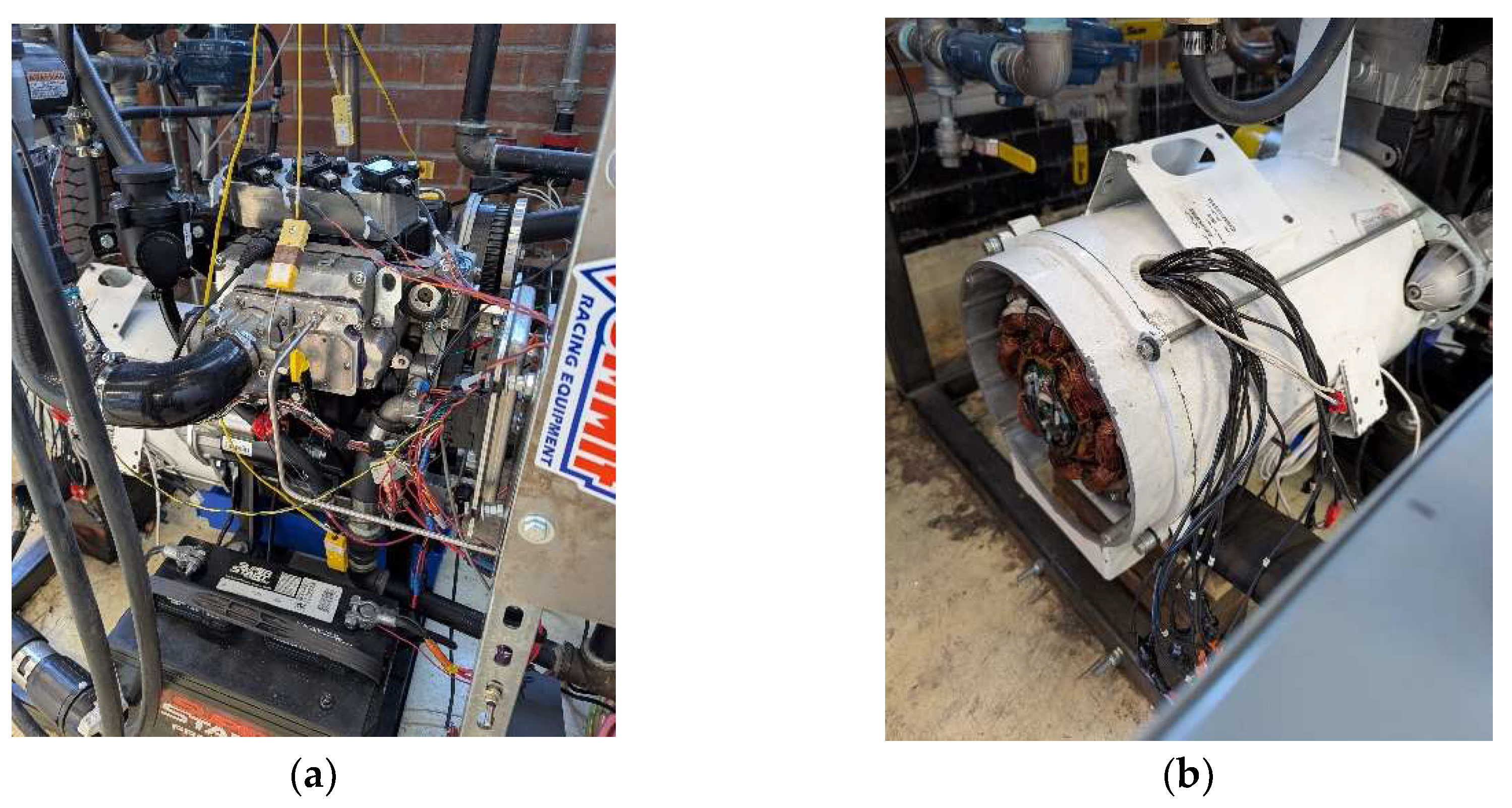 Preprints 147157 g003a