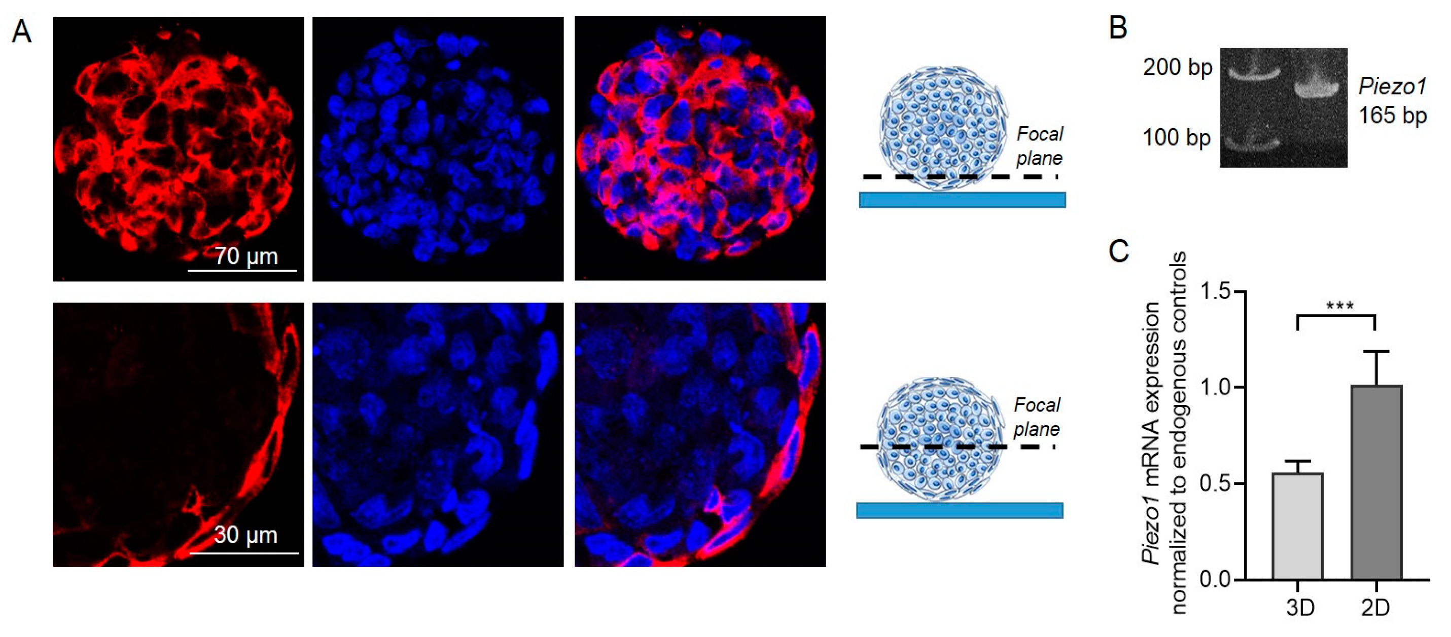Preprints 147584 g001