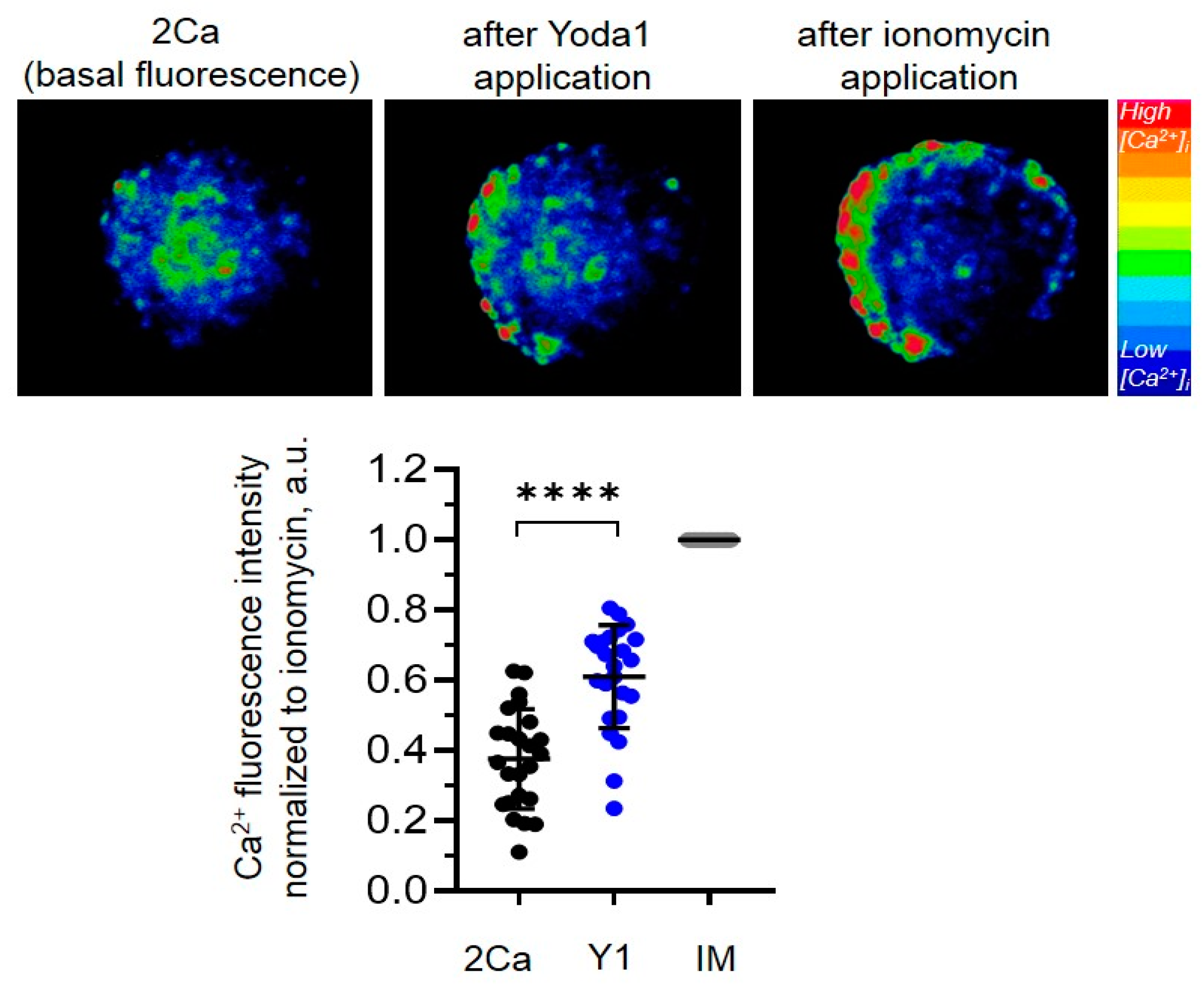 Preprints 147584 g002