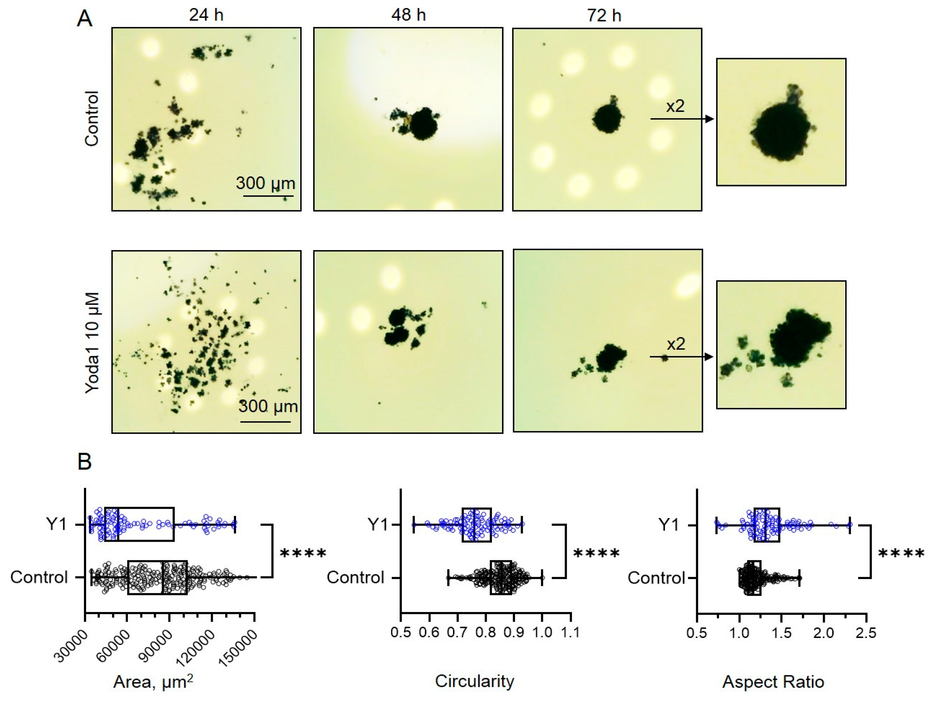 Preprints 147584 g003