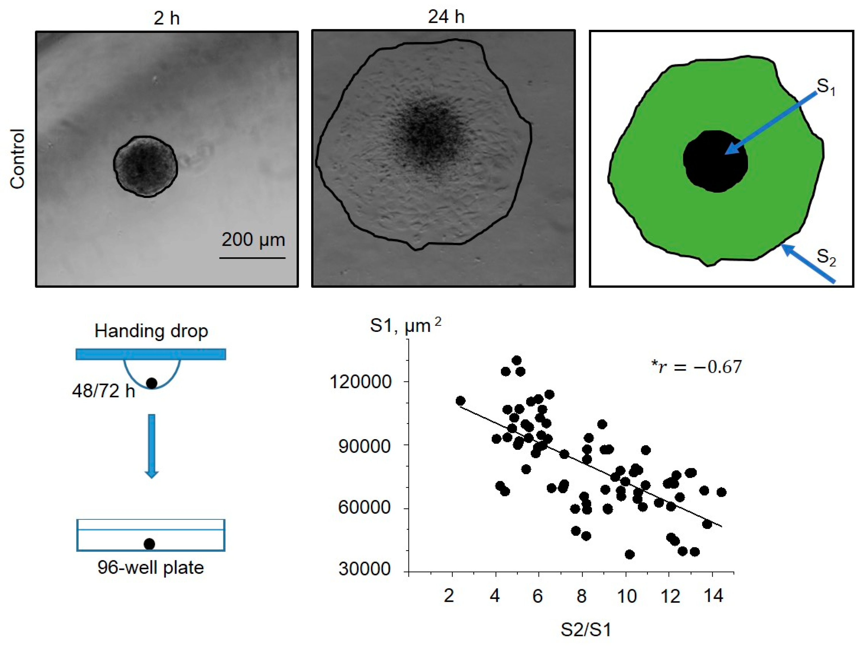 Preprints 147584 g004
