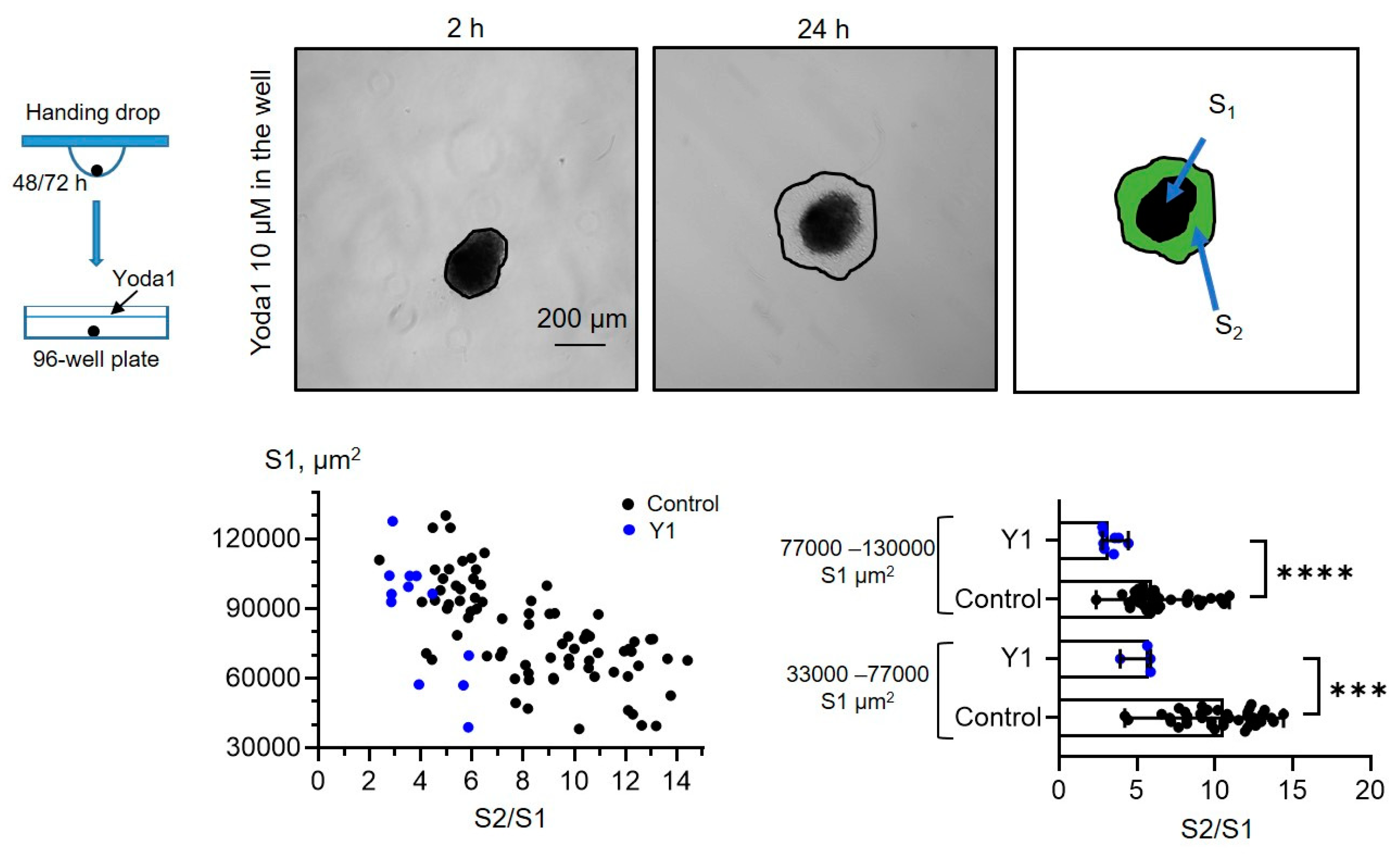 Preprints 147584 g005