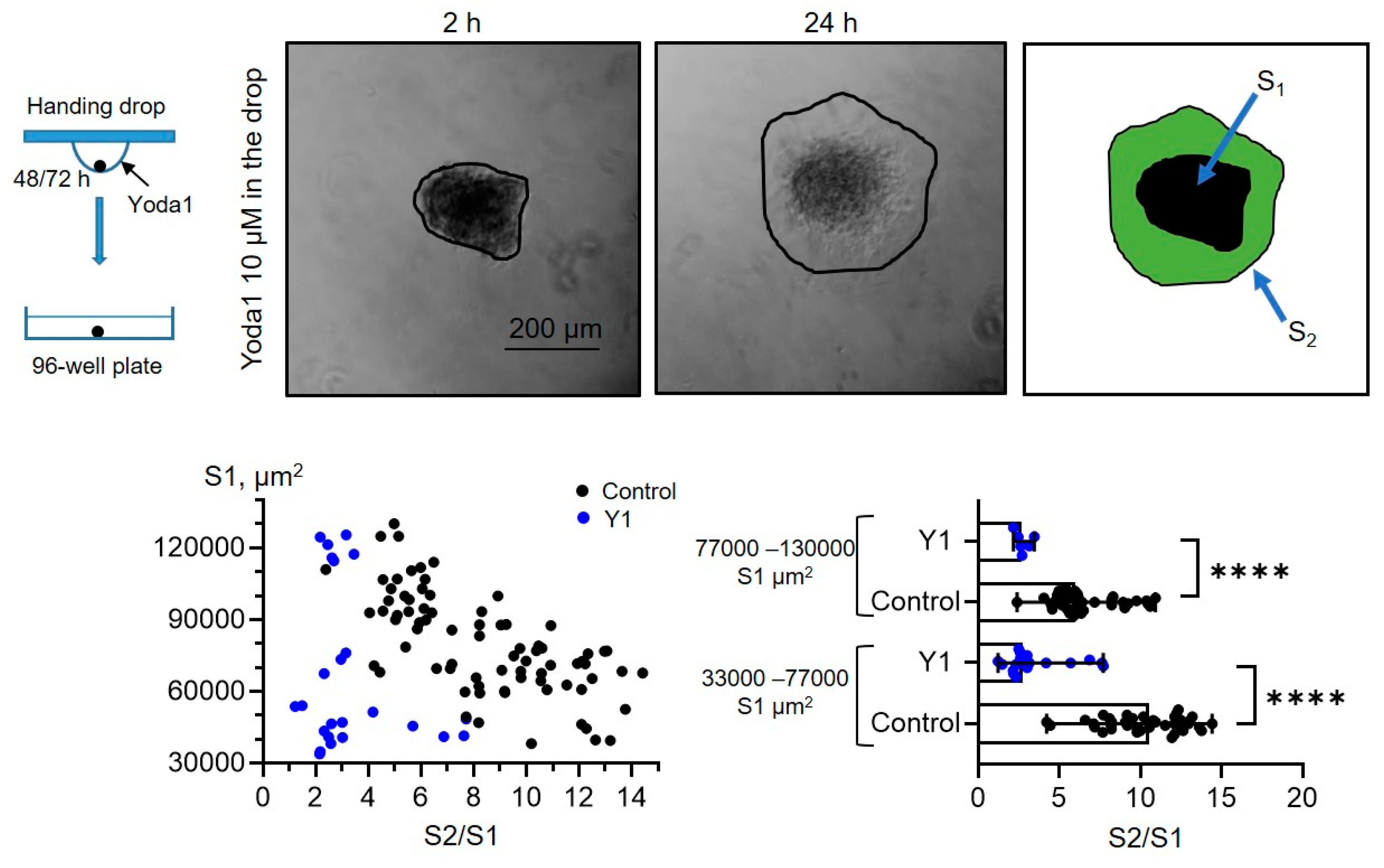 Preprints 147584 g006