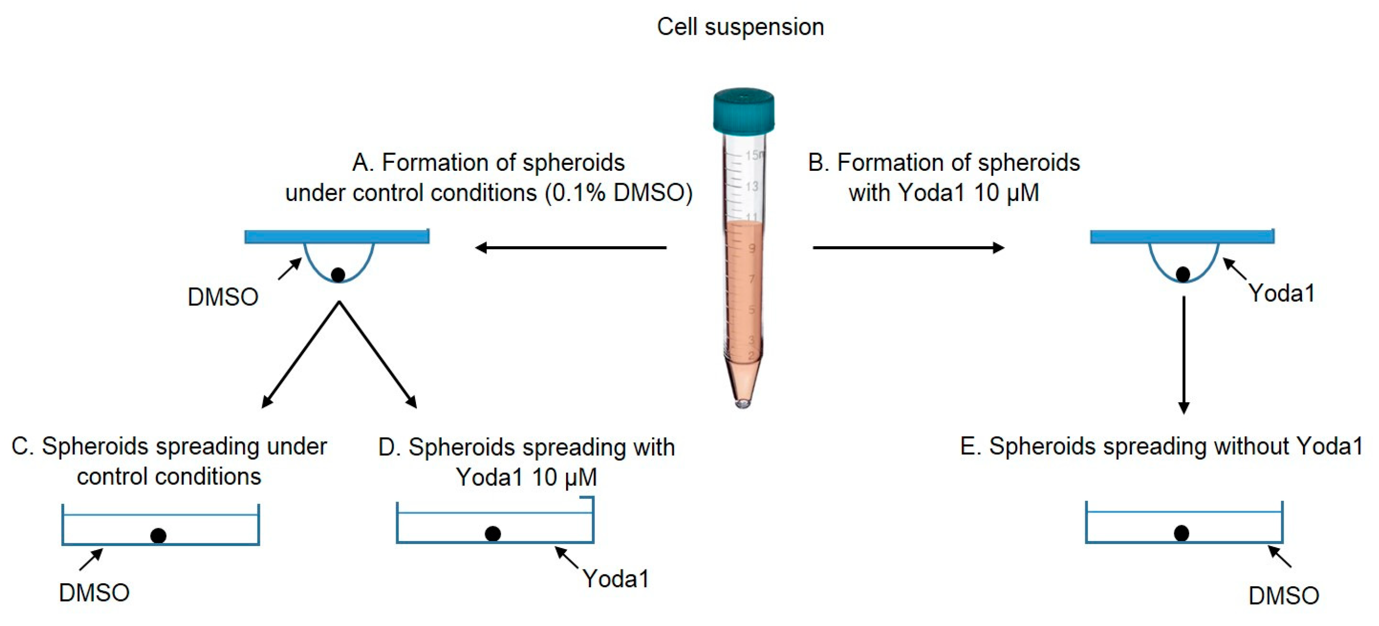 Preprints 147584 g008