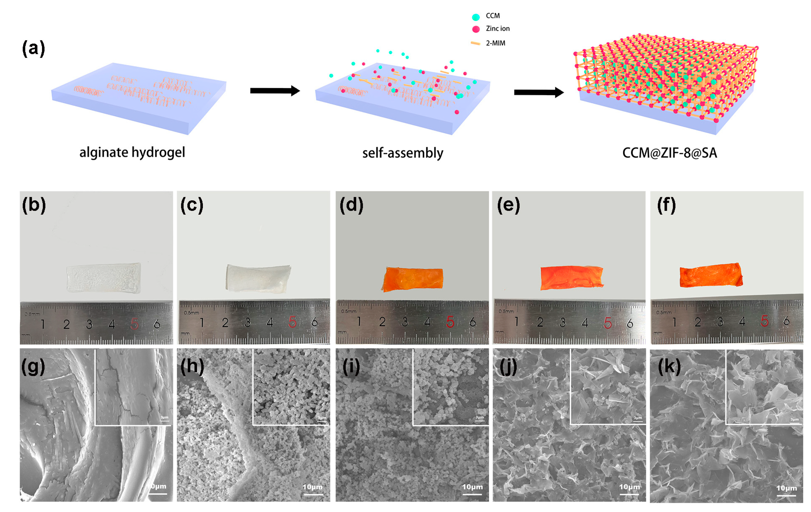 Preprints 75927 g001