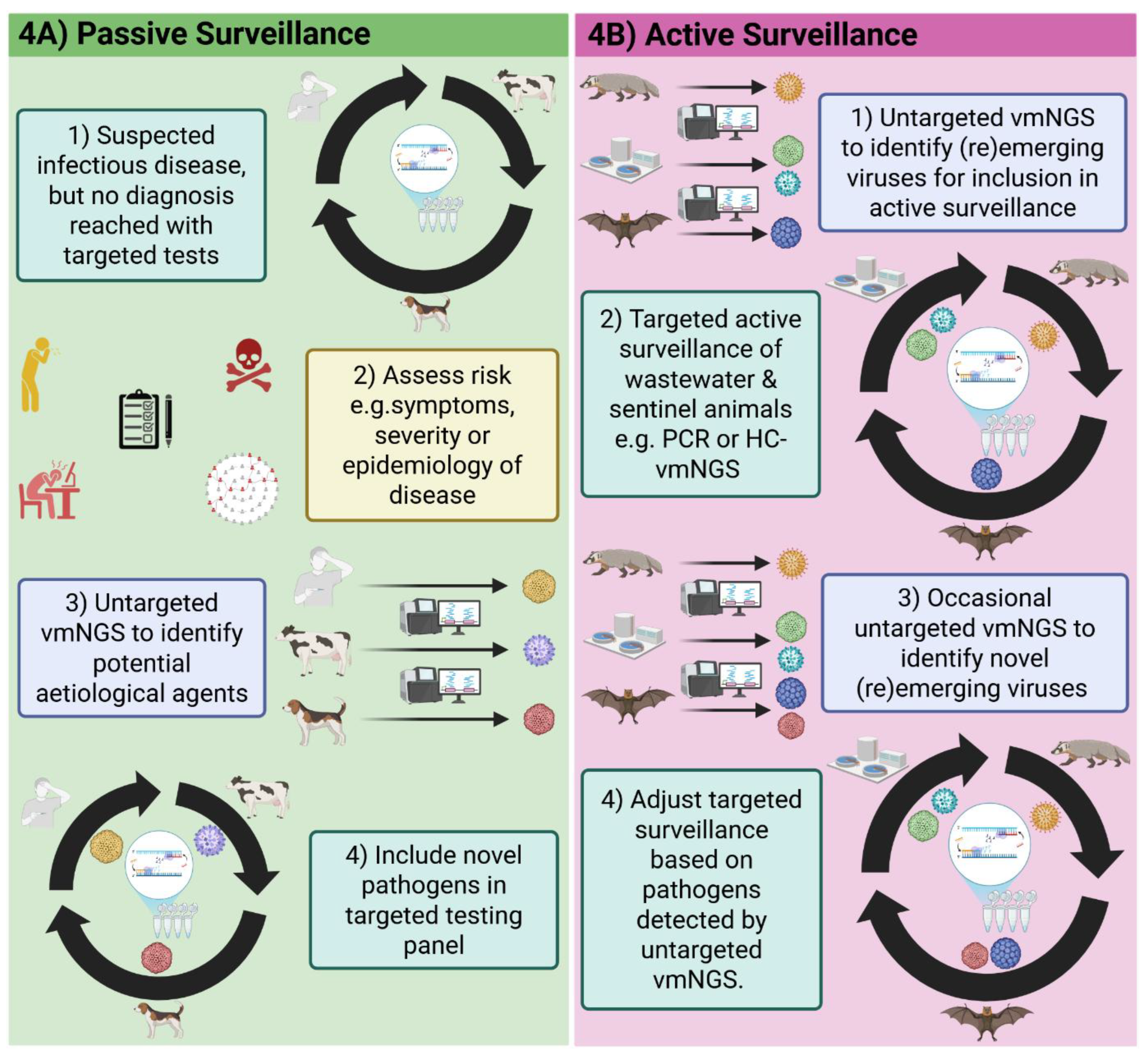 Viral Metagenomic Next-Generation Sequencing for One Health