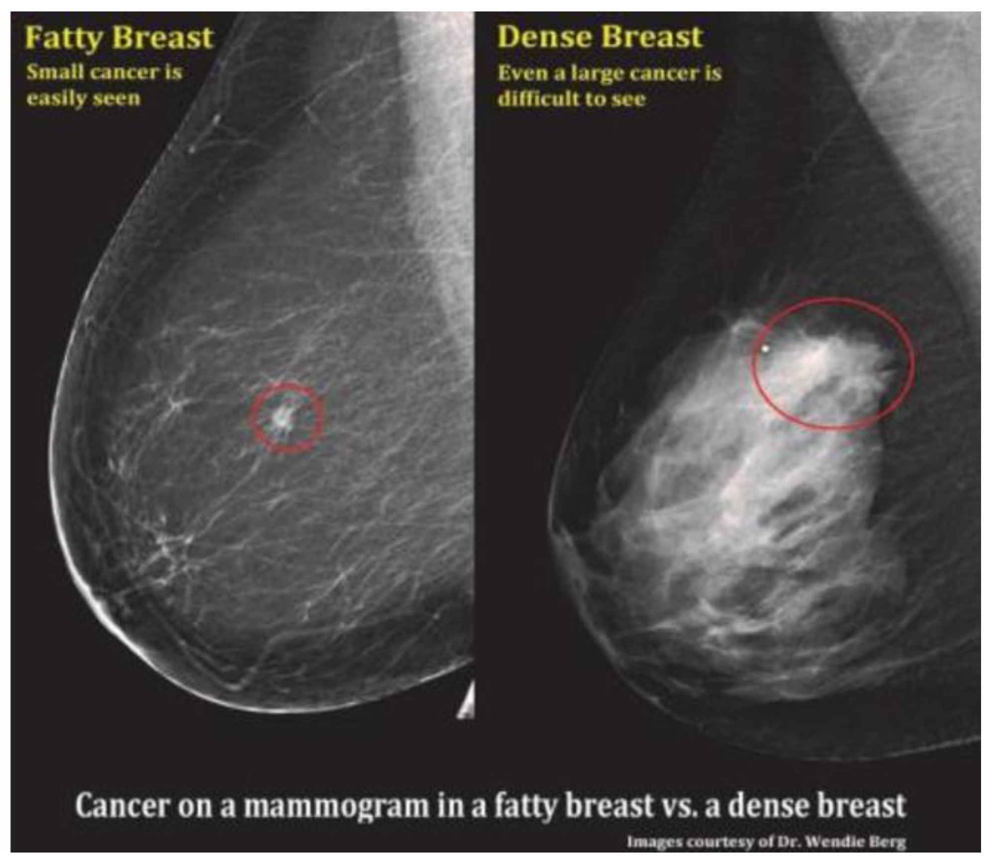 Preprints 165957 g001