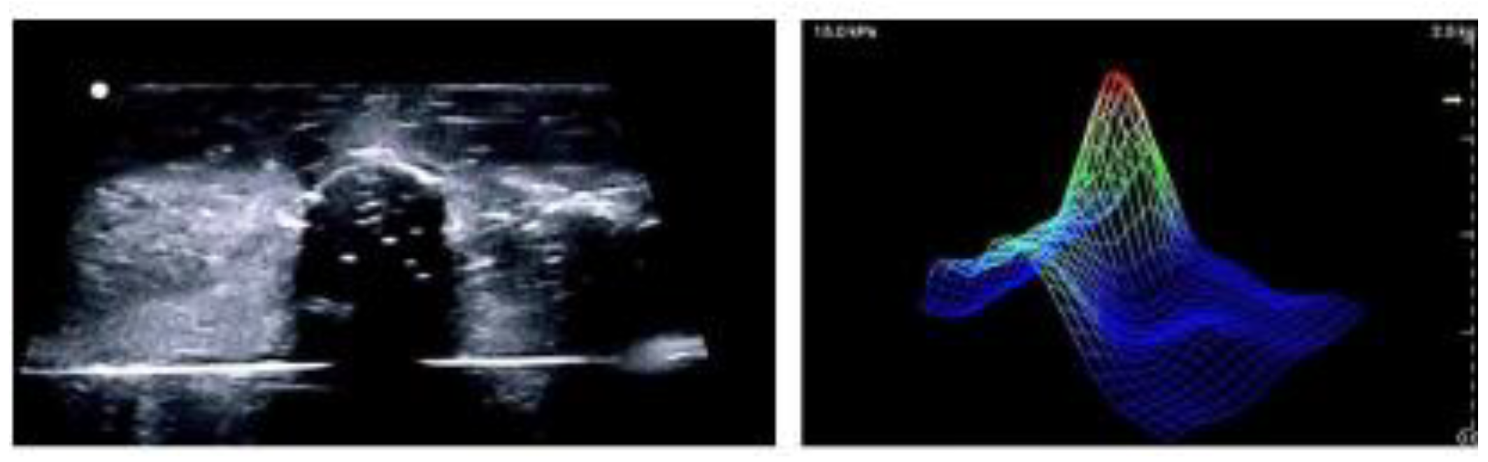 Preprints 165957 g004