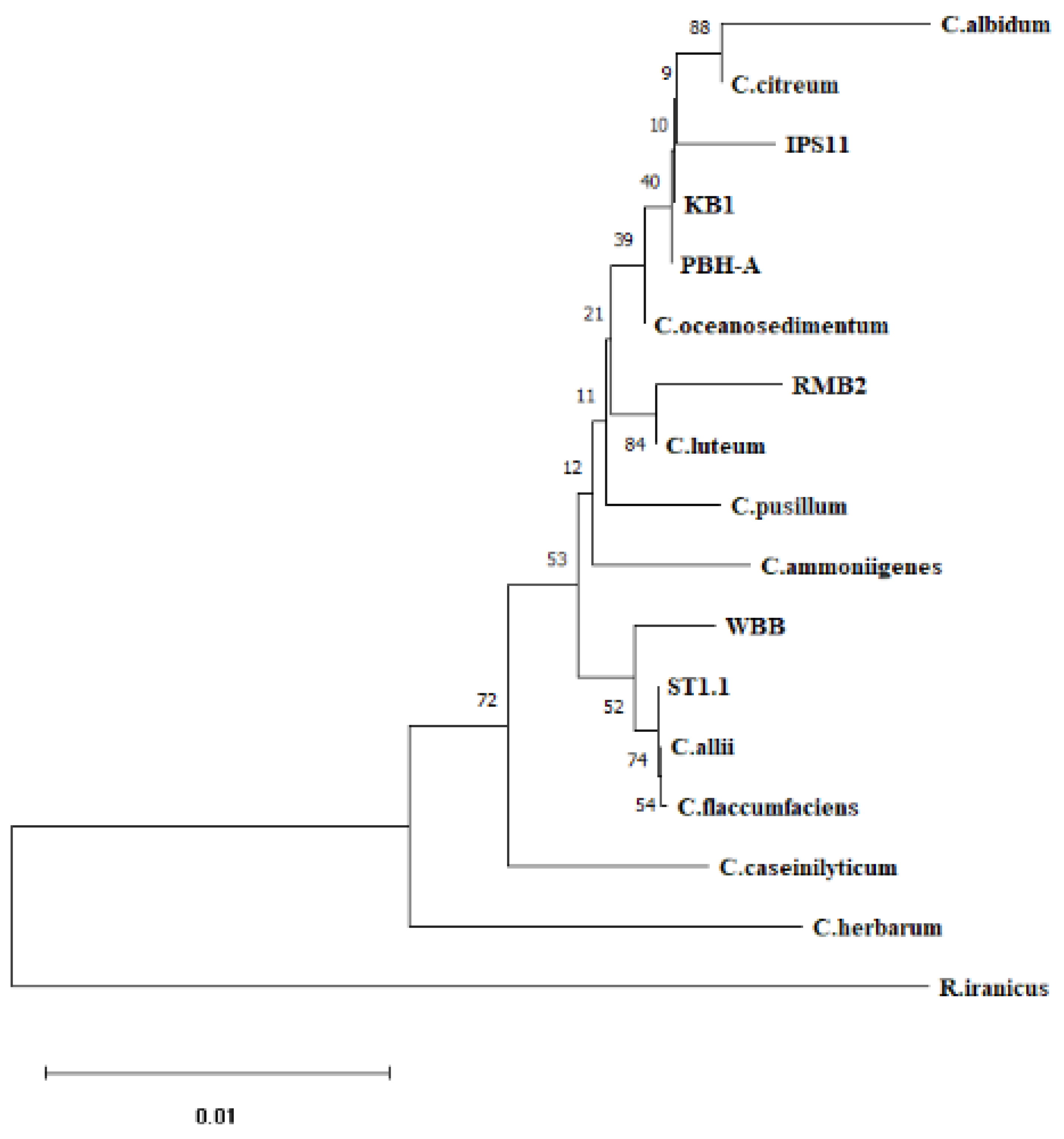 Preprints 148237 g001