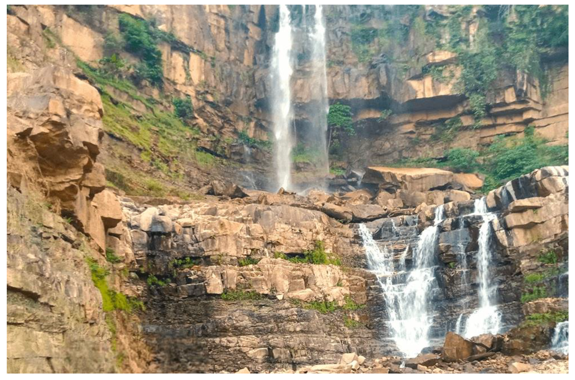 Preprints 121475 g001