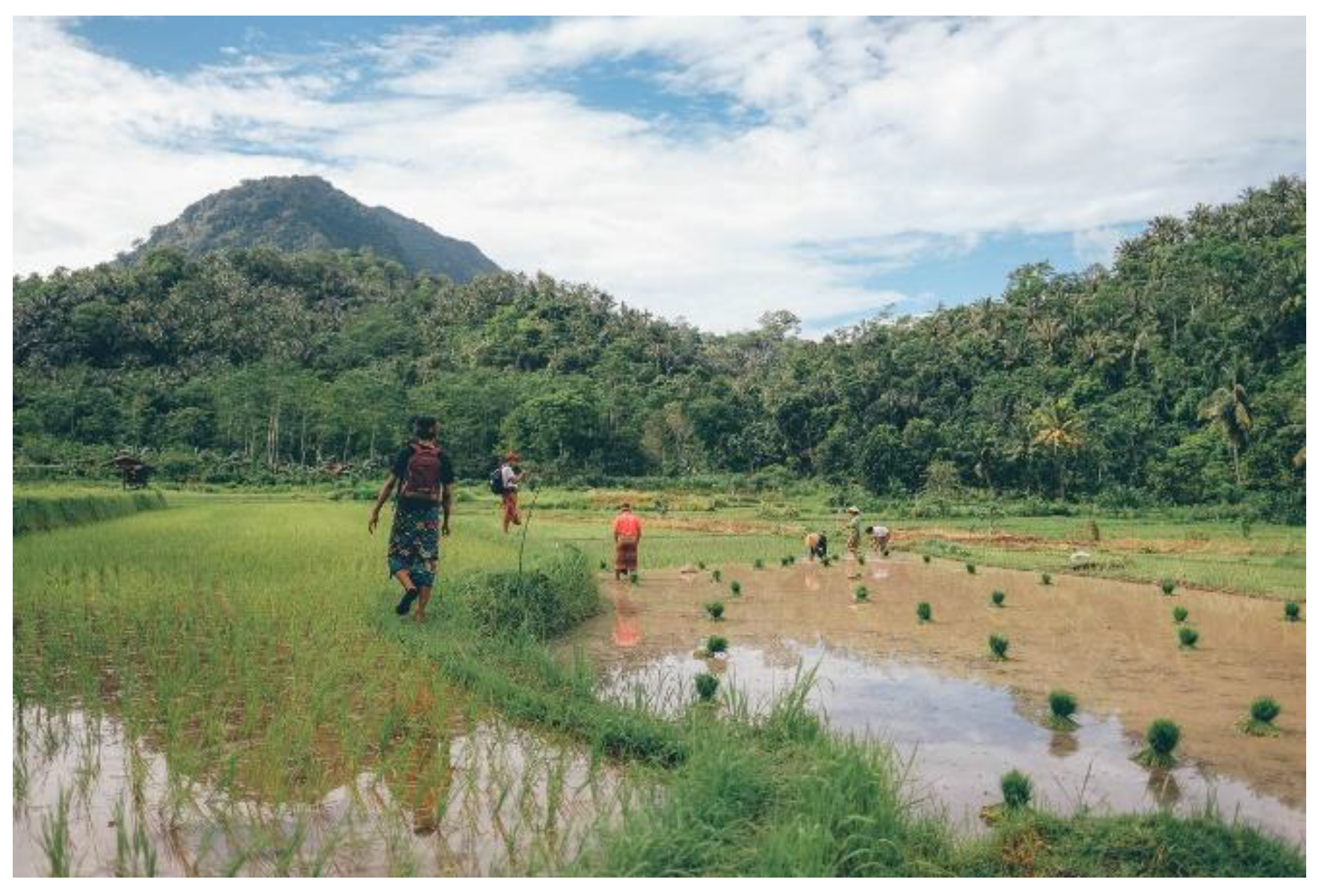 Preprints 121475 g002