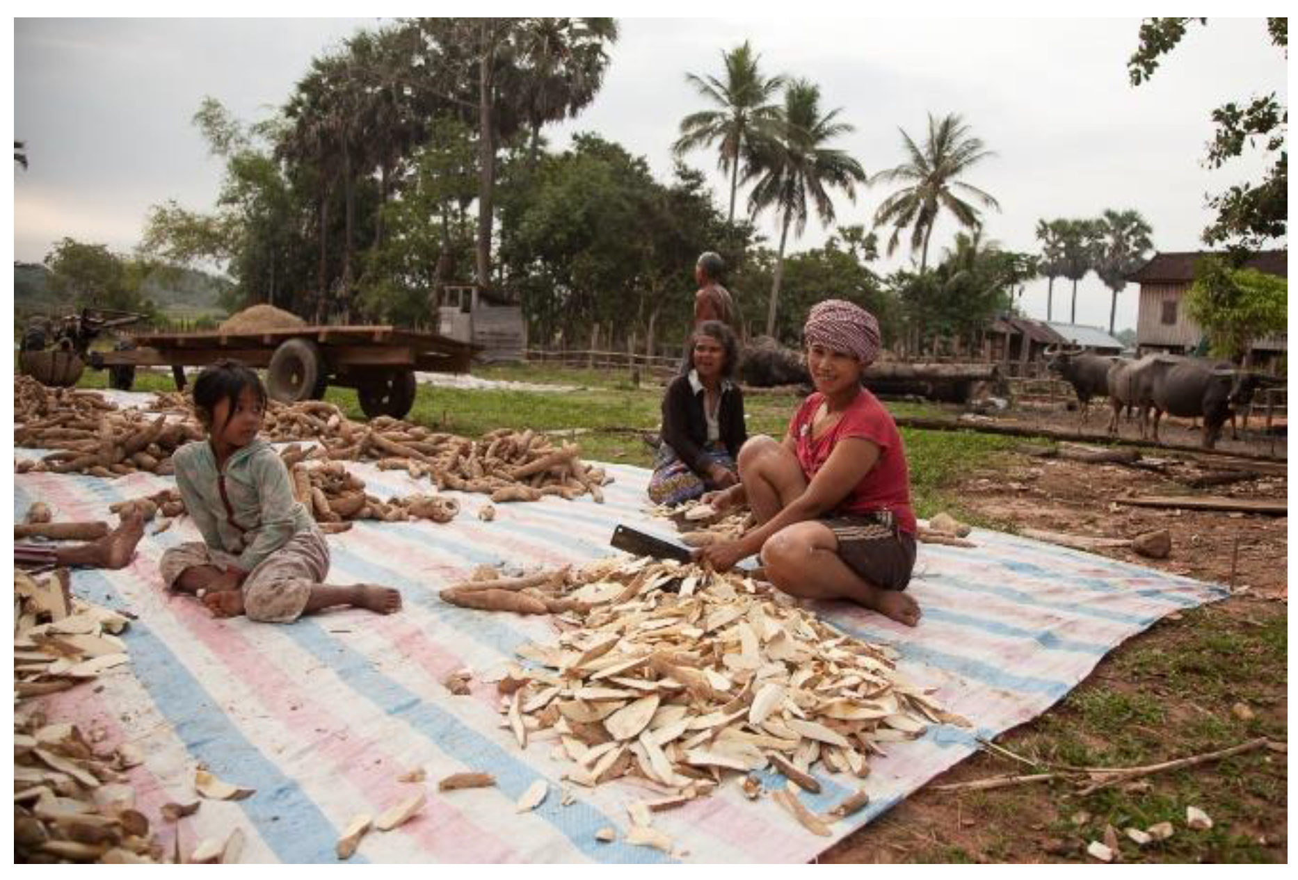 Preprints 121475 g003