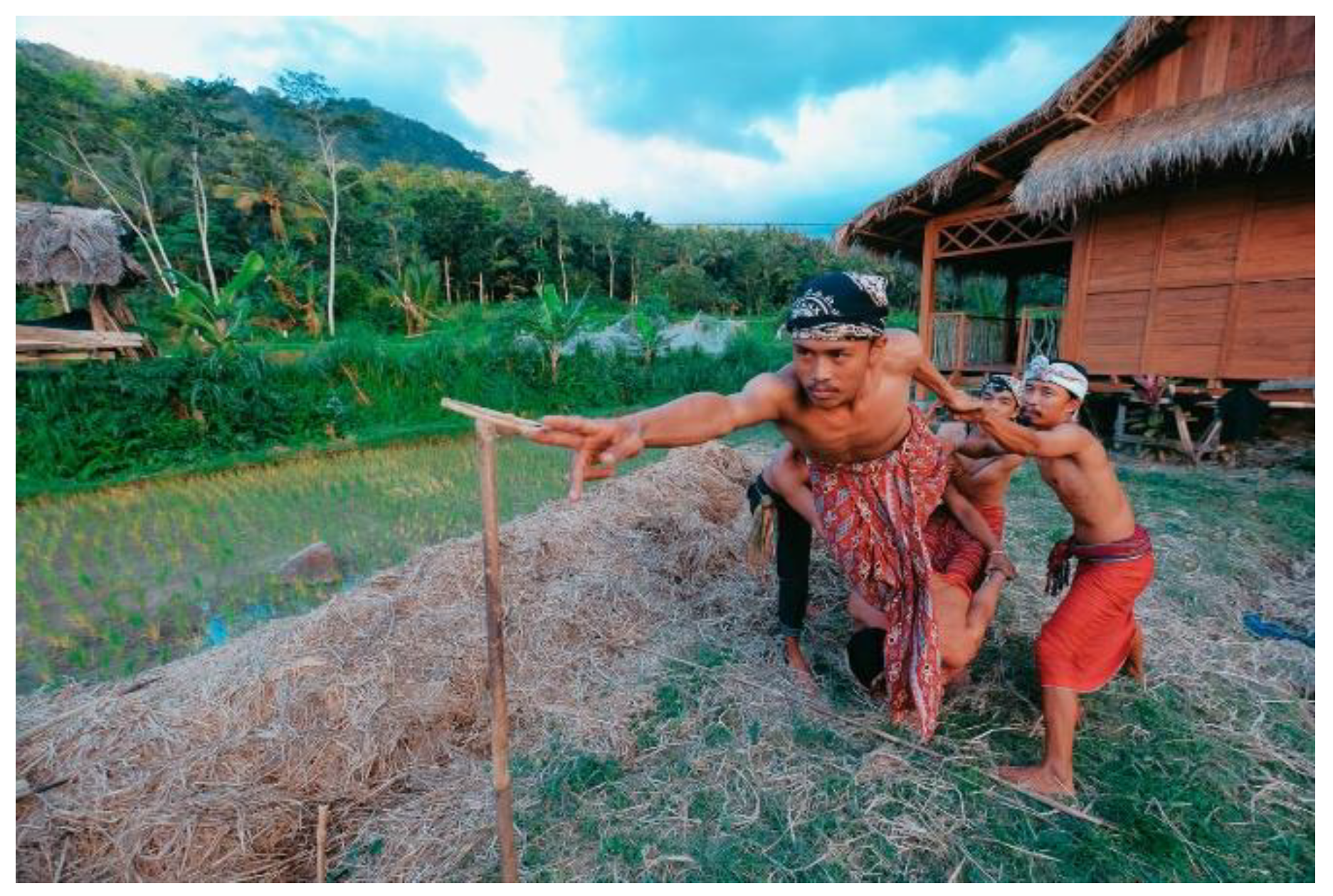 Preprints 121475 g004