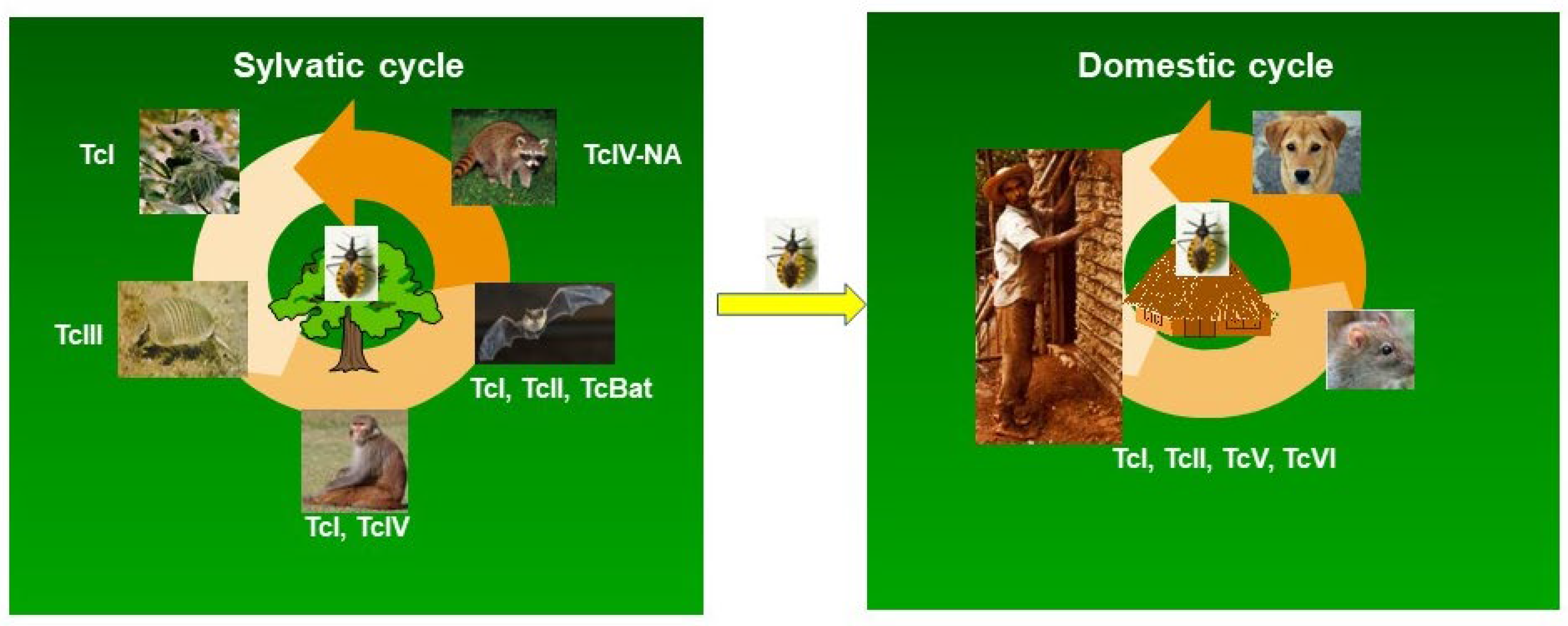 Preprints 89716 g002