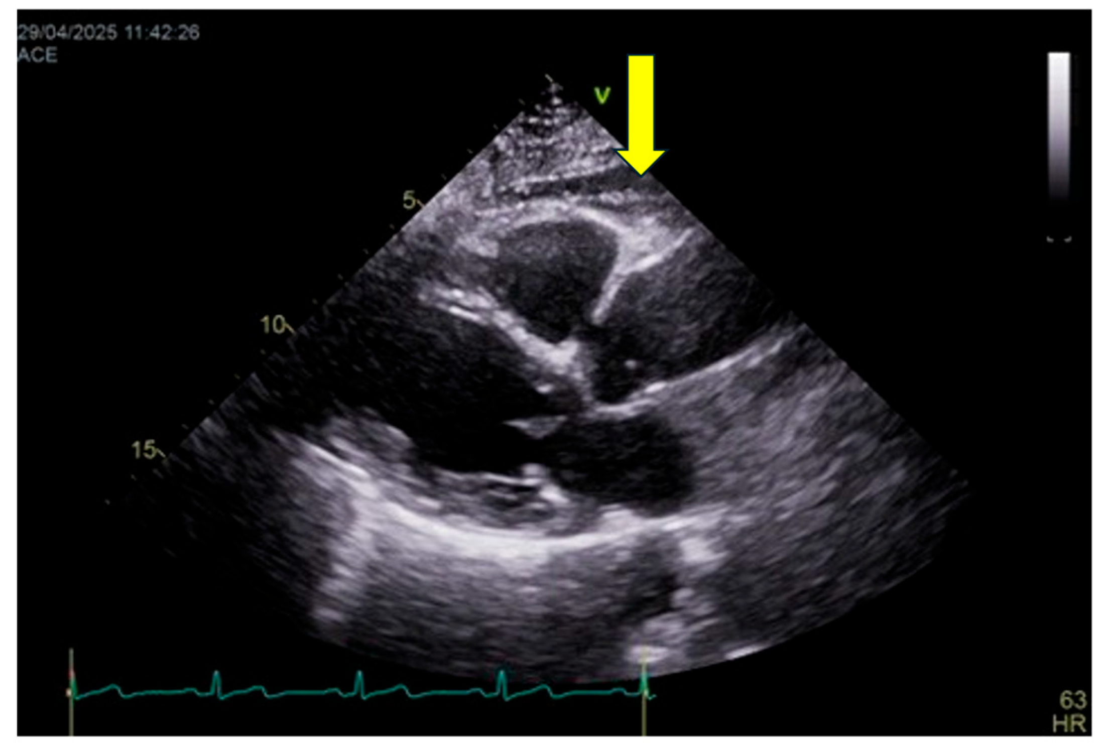 Preprints 190199 g003