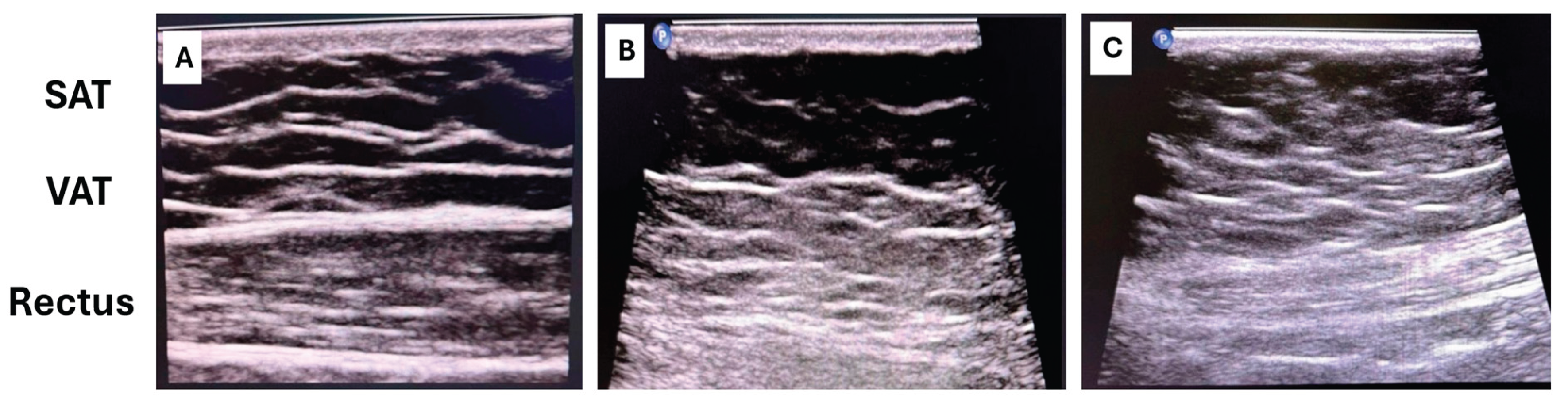 Preprints 190199 g004