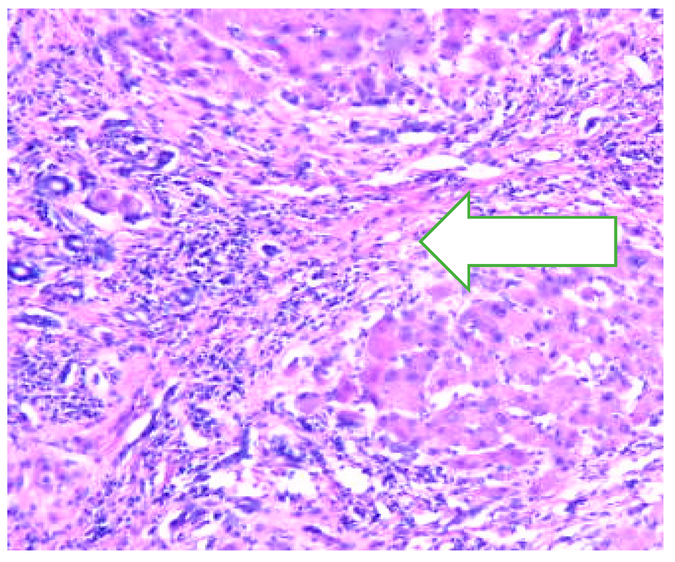 Preprints 158276 g003