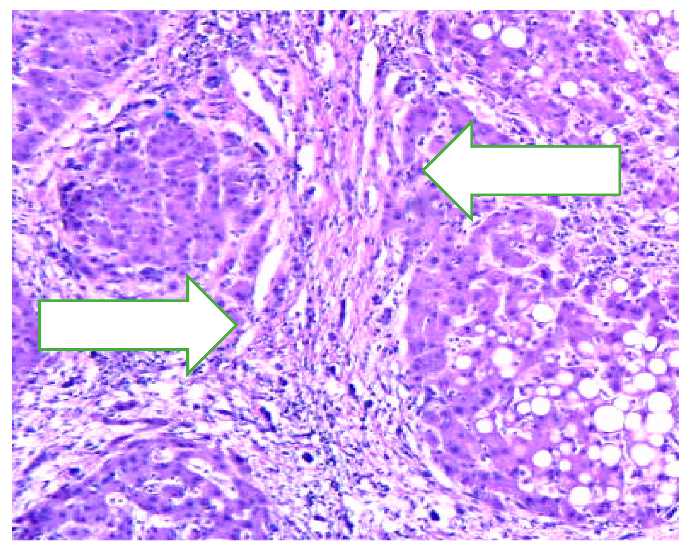 Preprints 158276 g004