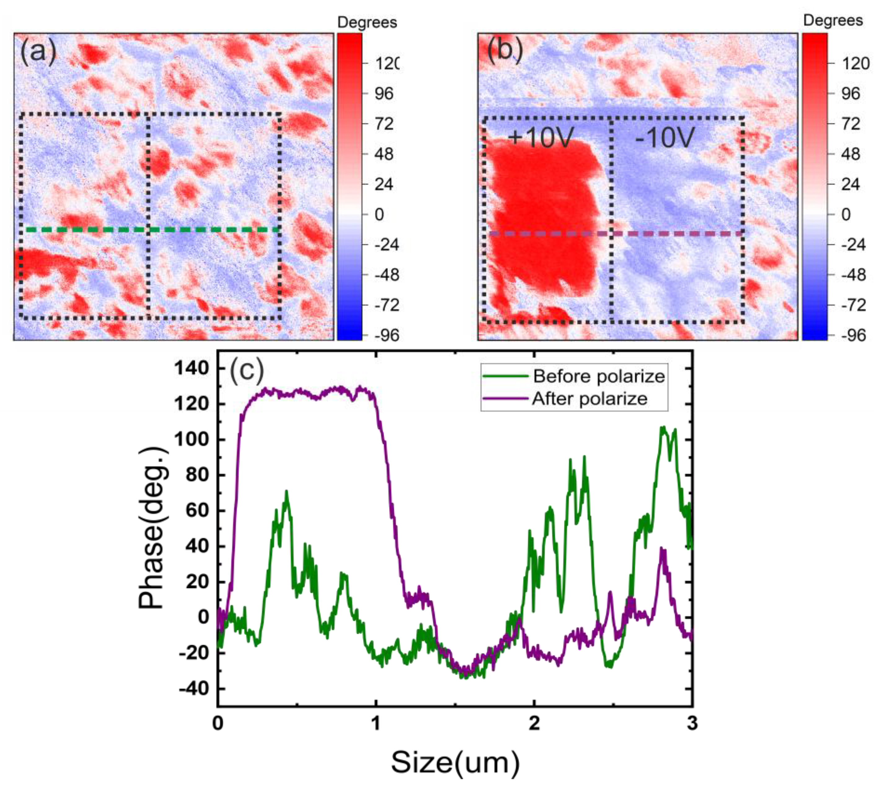 Preprints 157888 g005