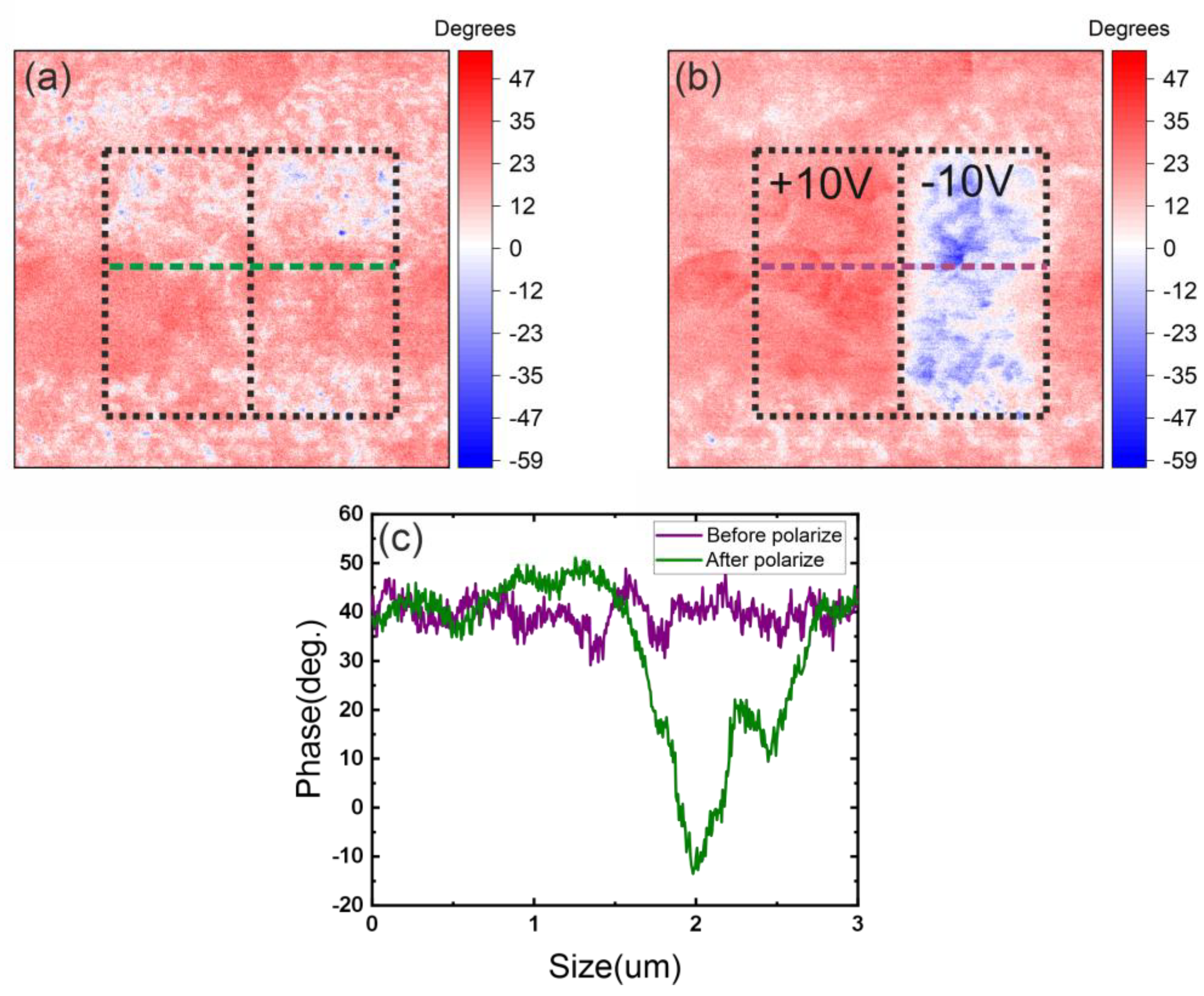 Preprints 157888 g006
