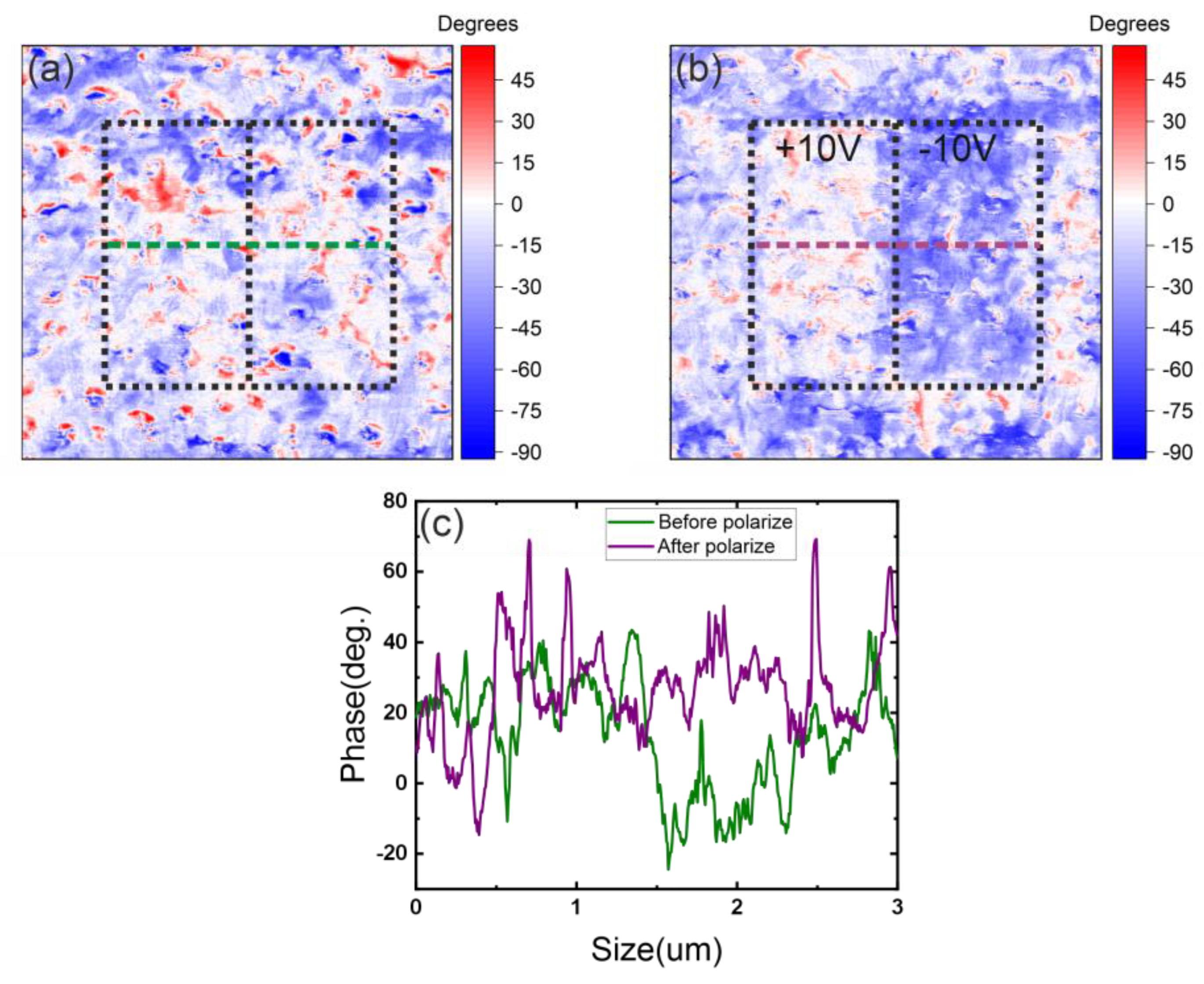 Preprints 157888 g007