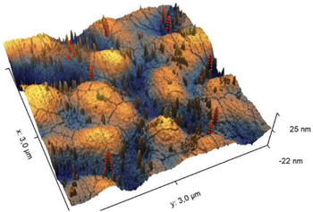 Preprints 157888 i001