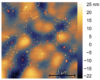 Preprints 157888 i002