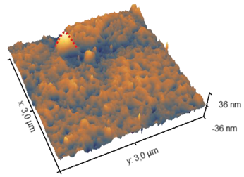 Preprints 157888 i003