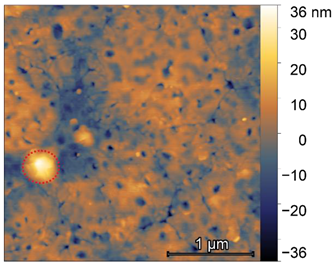 Preprints 157888 i004