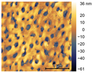 Preprints 157888 i006