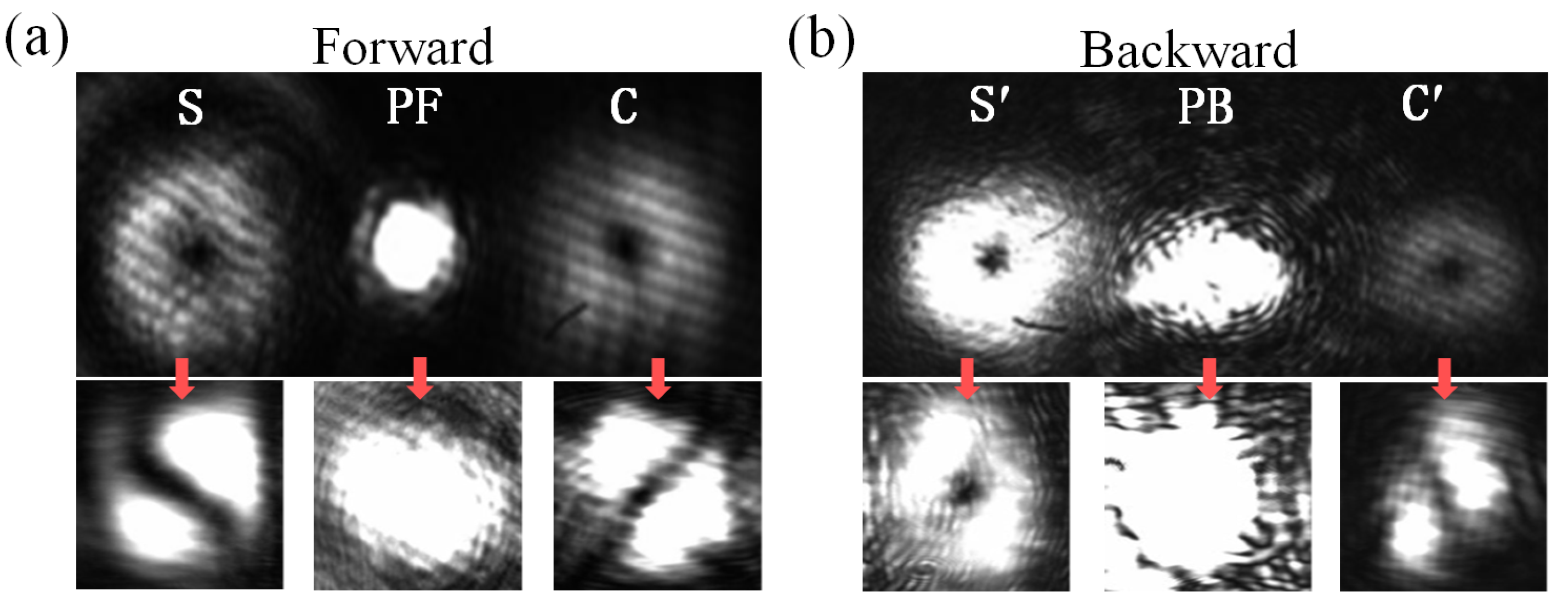 Preprints 191555 g004