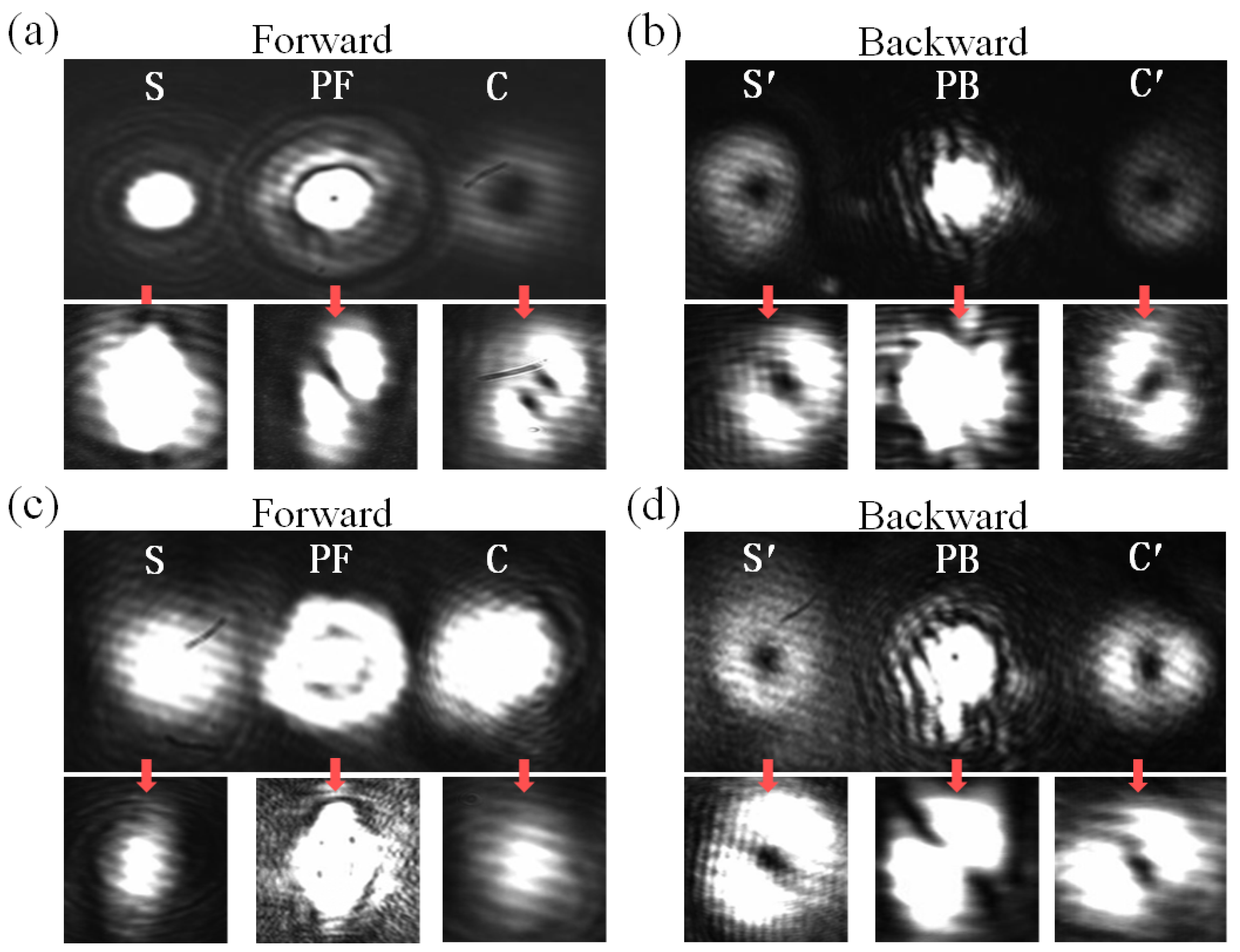 Preprints 191555 g005