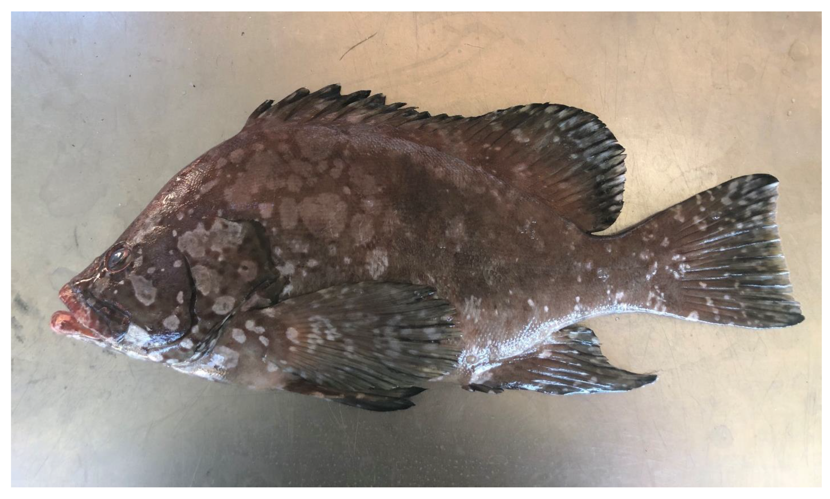 Preprints 139539 g002