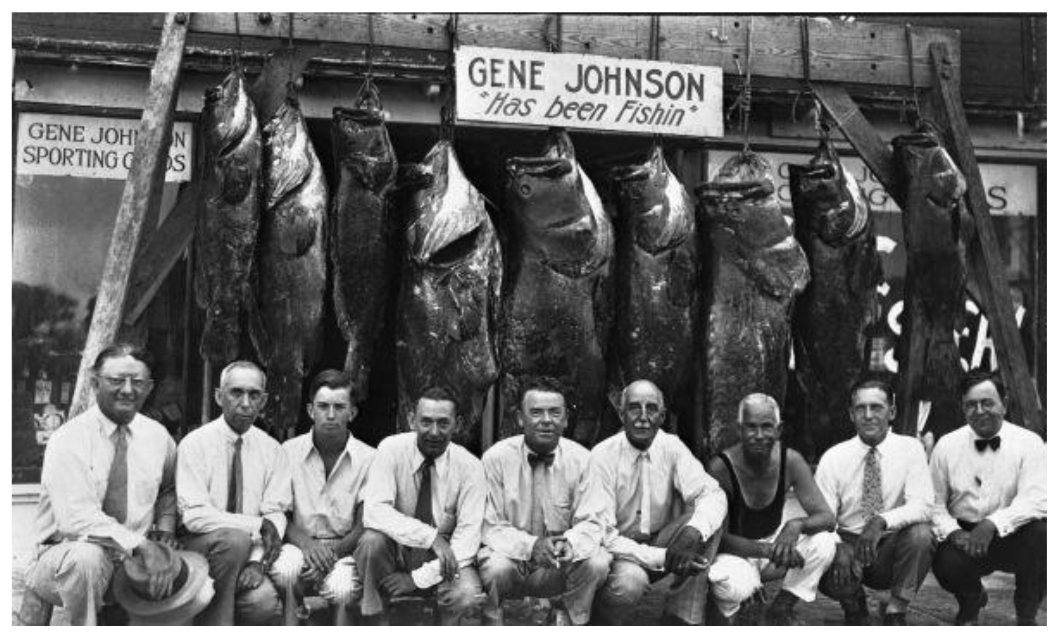 Preprints 139539 g008