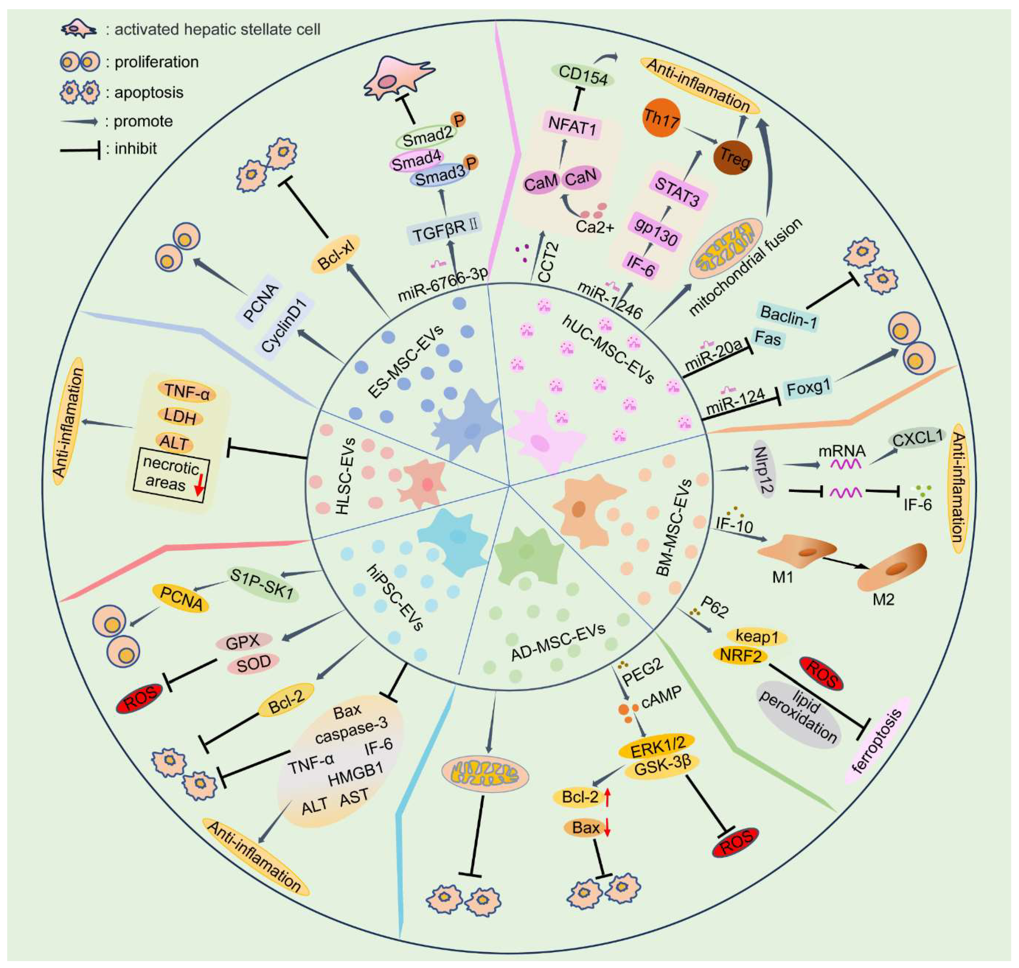 Preprints 116402 g001